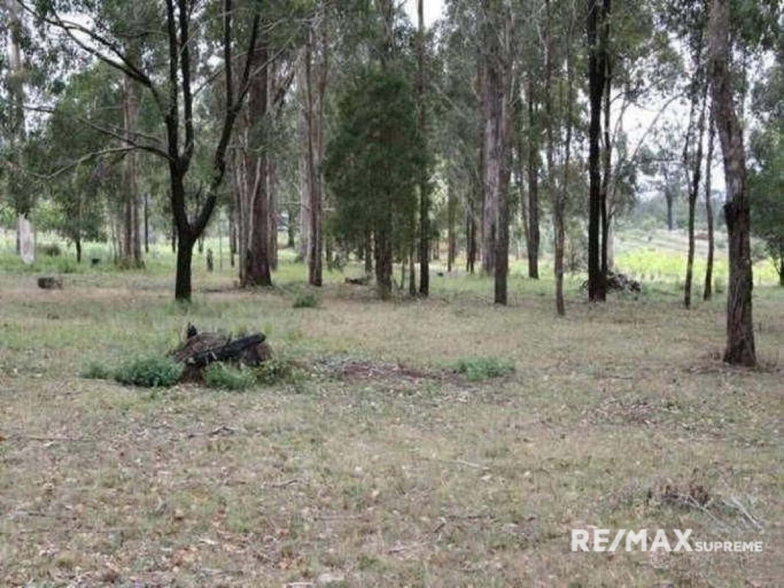 529 Williams Road Benarkin North QLD 4314, Benarkin North - Thumbnail 2