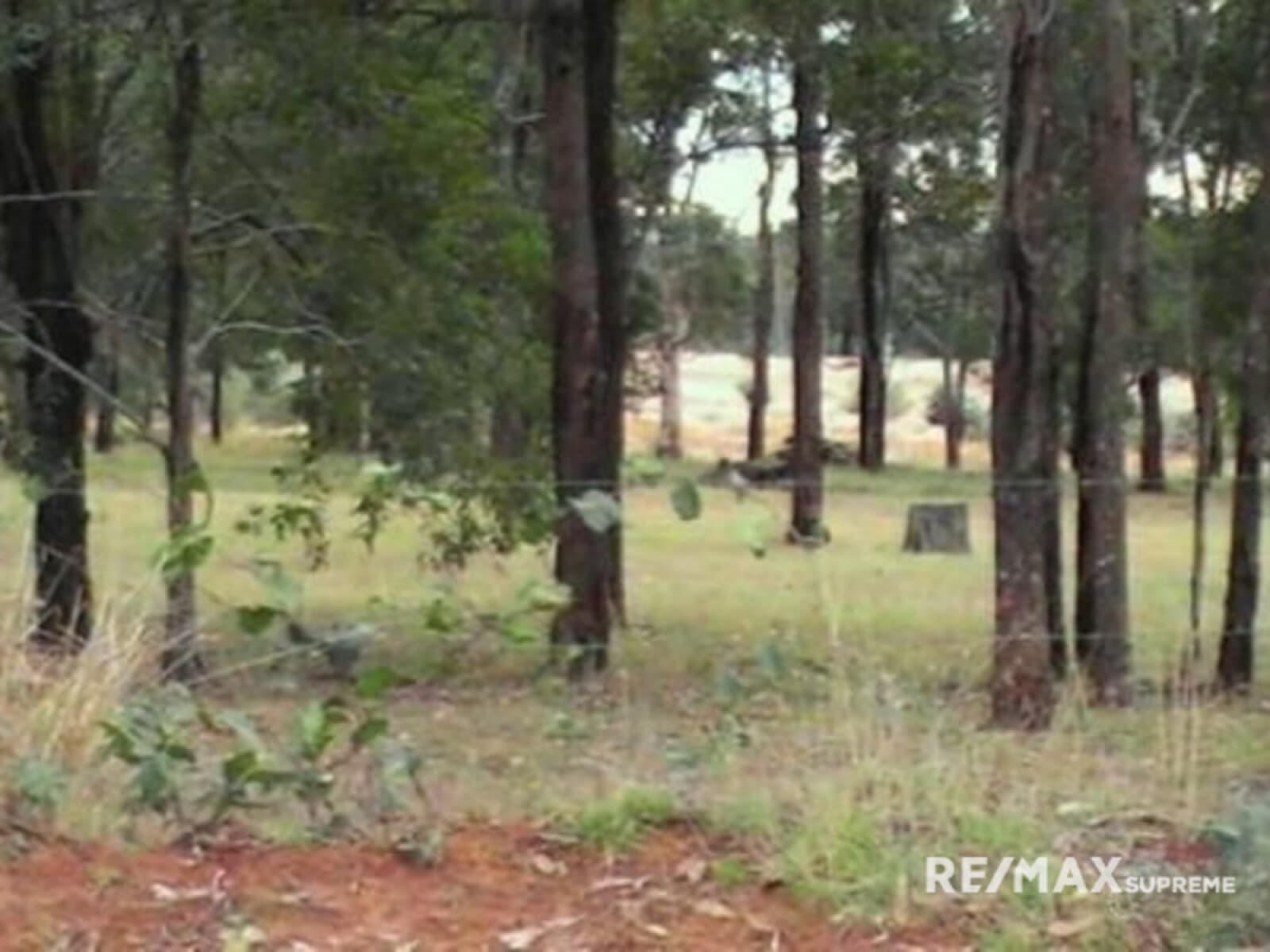 529 Williams Road Benarkin North QLD 4314, Benarkin North - Thumbnail 6