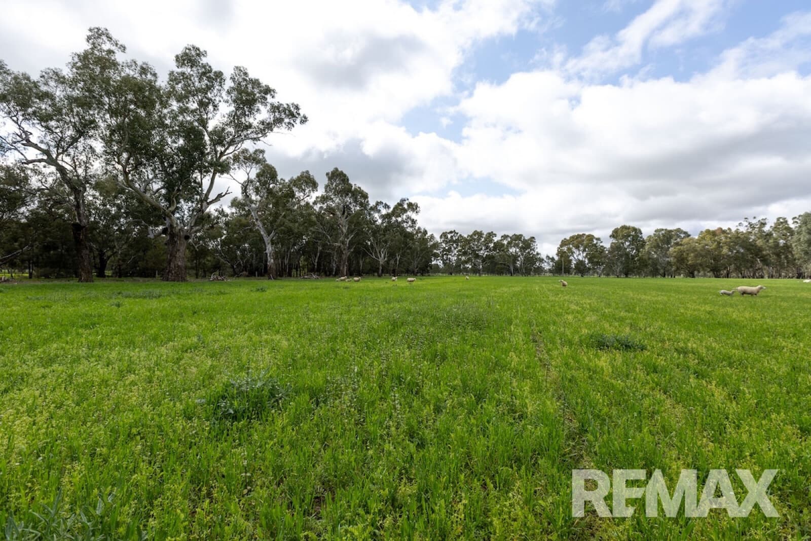 192 Roach Road Moorong NSW 2650, Moorong - Thumbnail 3