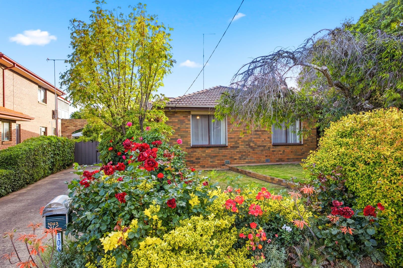 1043 Norman Street, Wendouree, Wendouree - Thumbnail 3