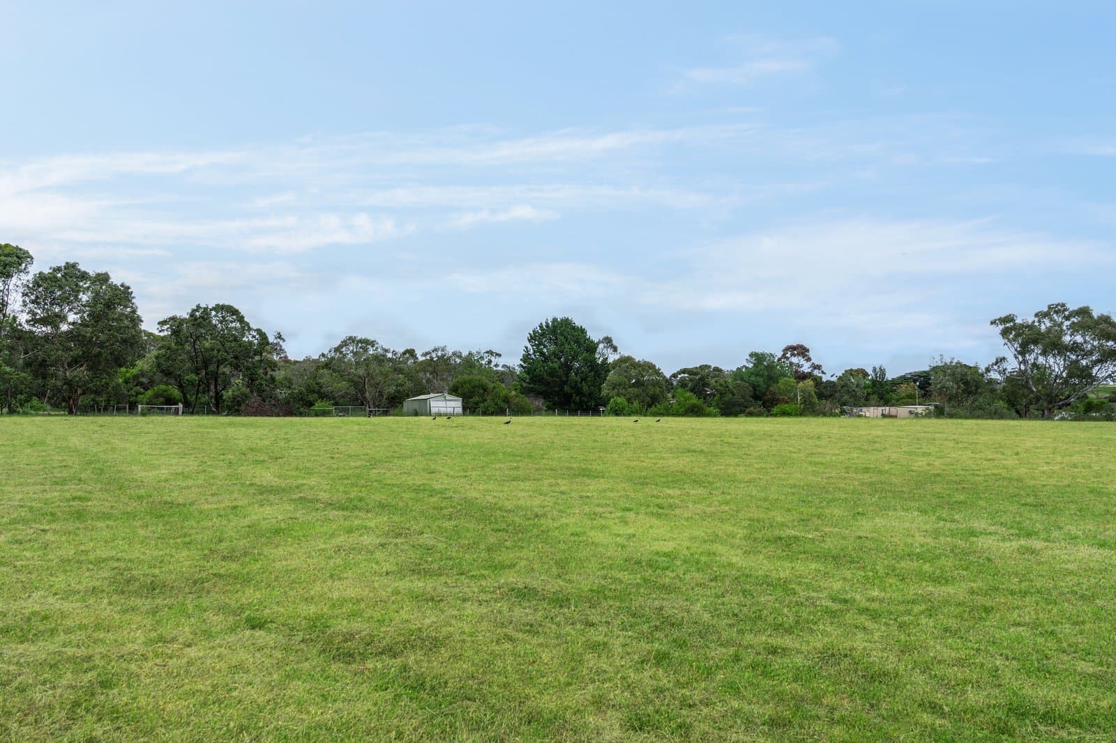 1230 Bellarine Highway, Wallington, Wallington - Thumbnail 5