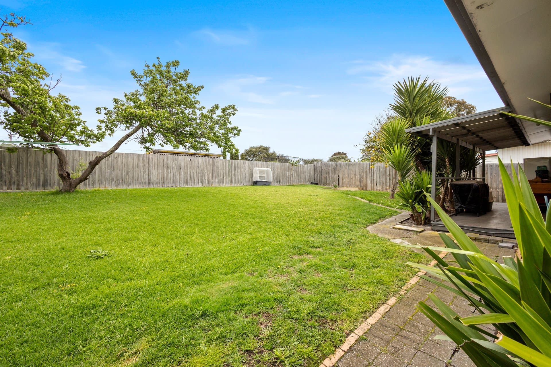 1 Alma Street, TOOTGAROOK, VIC, 3941, Tootgarook - Thumbnail 5