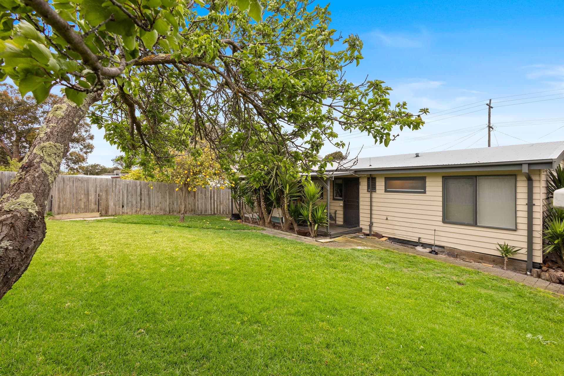 1 Alma Street, TOOTGAROOK, VIC, 3941, Tootgarook - Thumbnail 6
