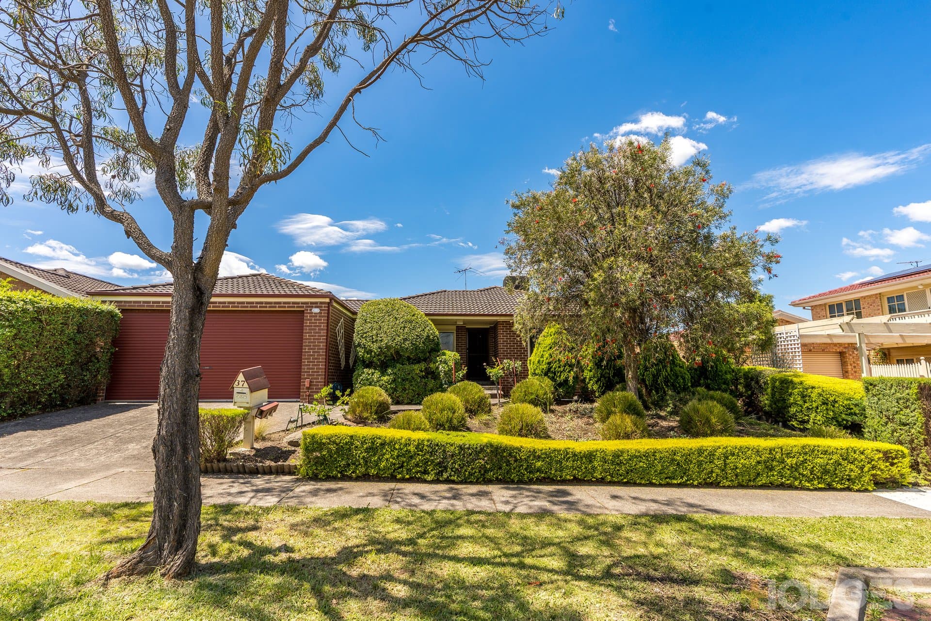 37 Applewood Drive, Knoxfield - Thumbnail 4