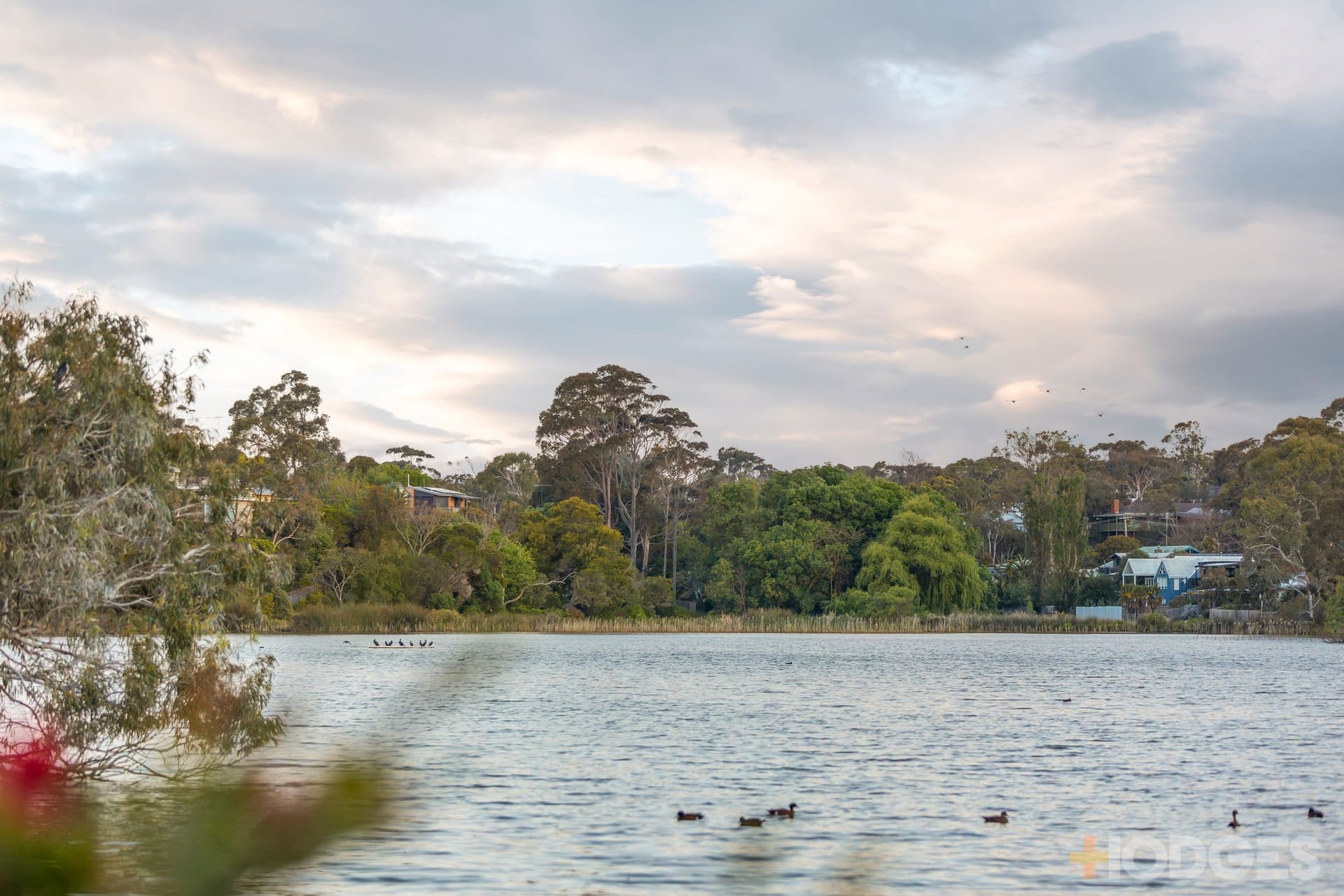 2 / 4 Riviera Crescent Ocean Grove, Ocean Grove - Thumbnail 5