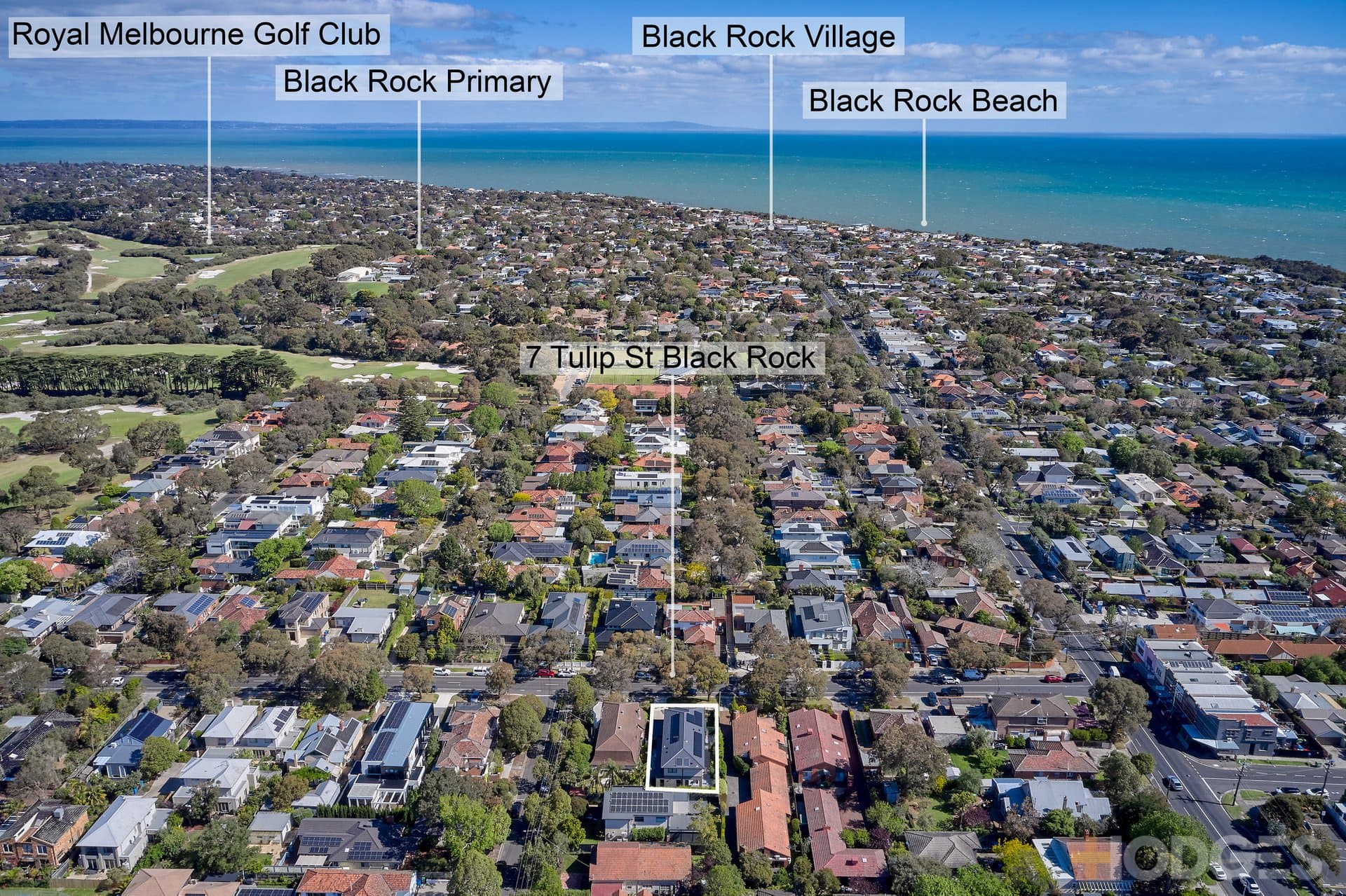 7 Tulip Street, Black Rock - Thumbnail 2