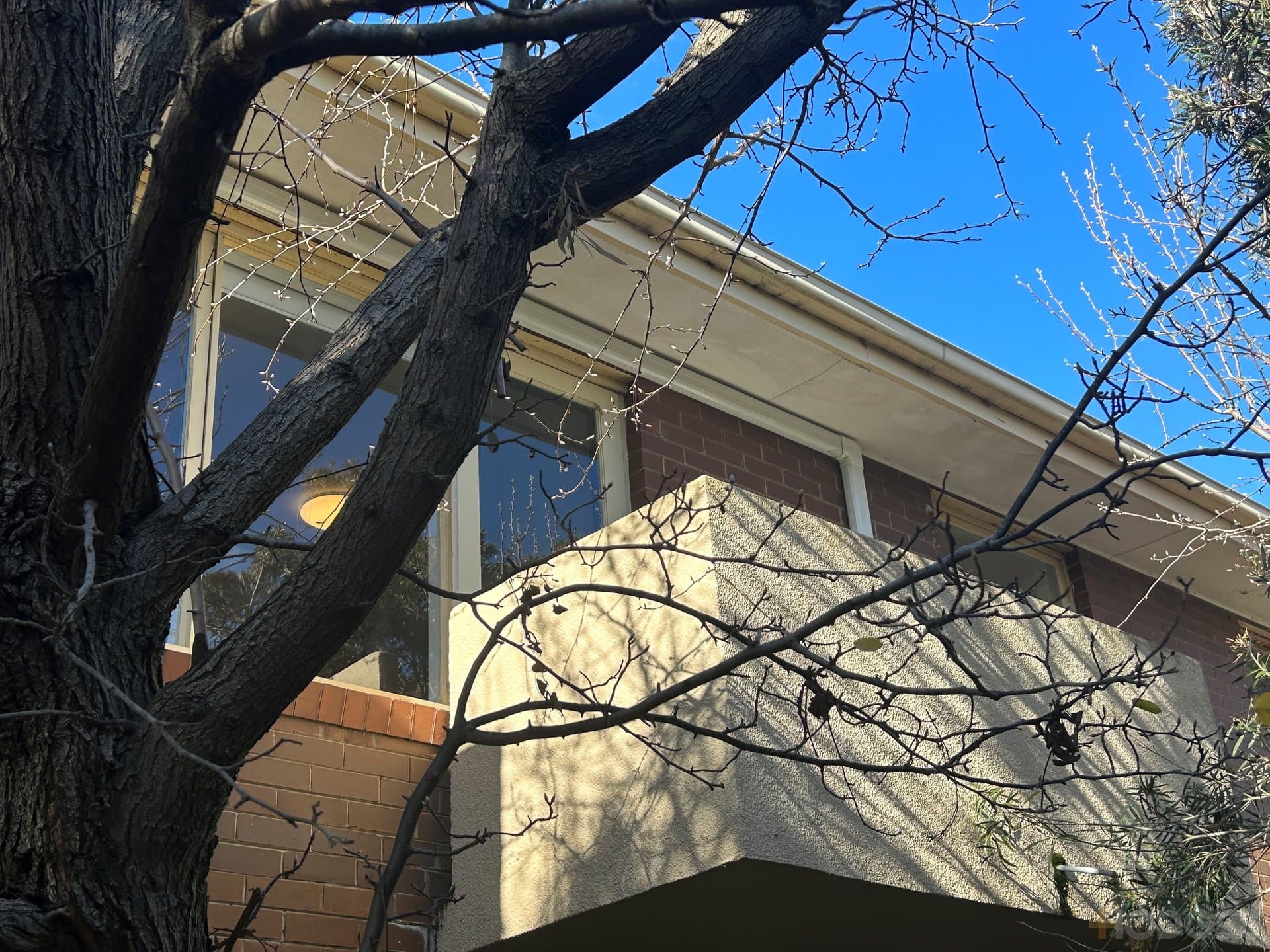 16 / 19 Abbott Street, Sandringham - Thumbnail 3