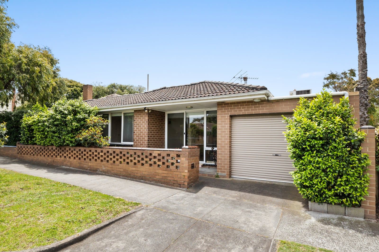 5/22-24 Bourke Street, Mentone, Mentone - Thumbnail 3