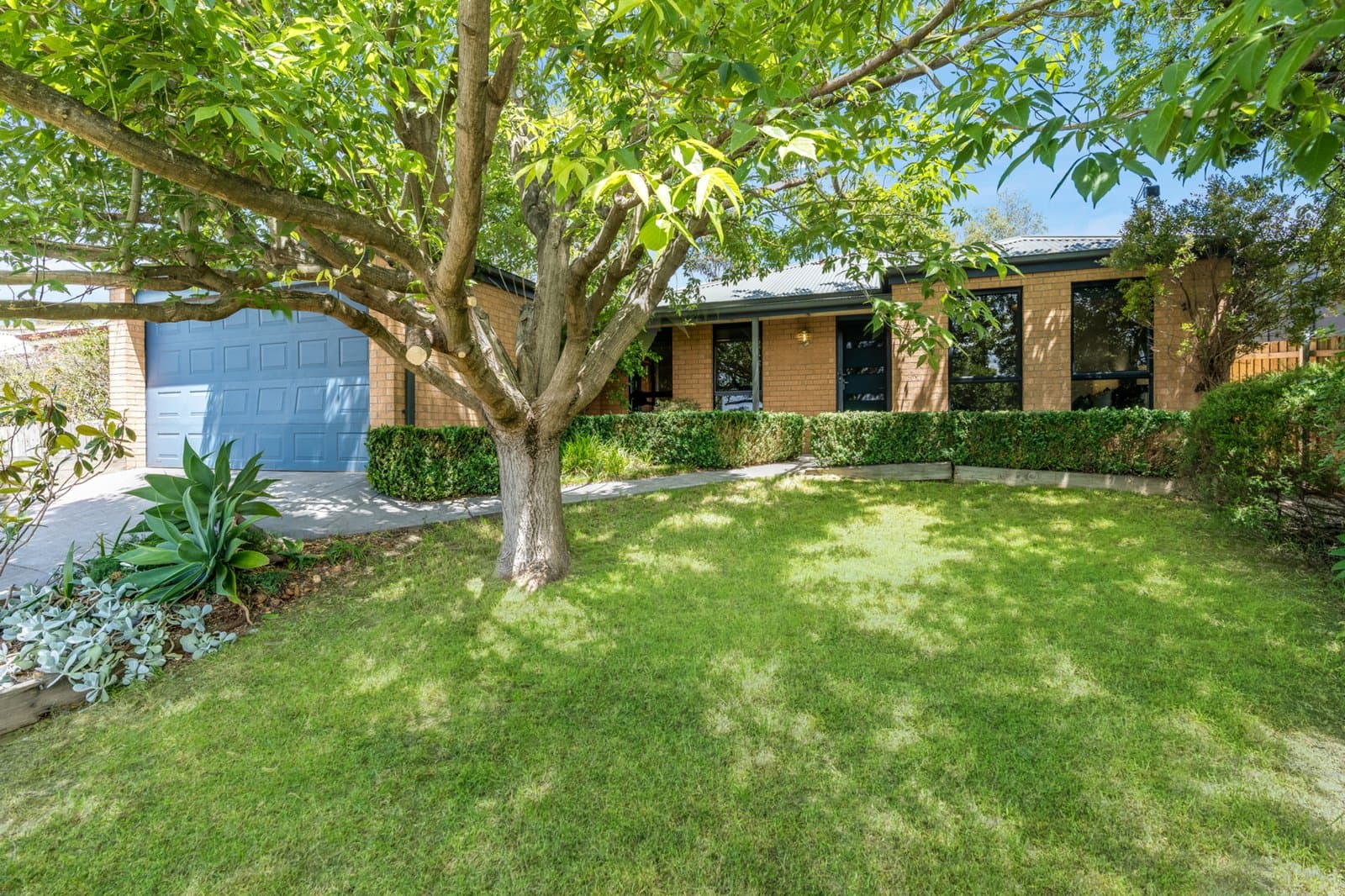 16 Carawatha Avenue, Clifton Springs, Clifton Springs - Thumbnail 4
