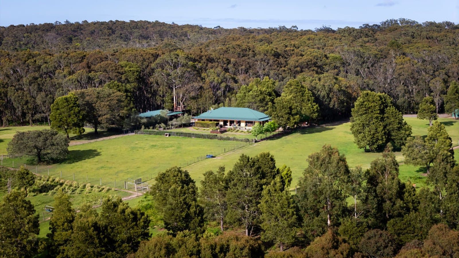 51 Scarffs Road North, Buninyong, Buninyong - Thumbnail 3