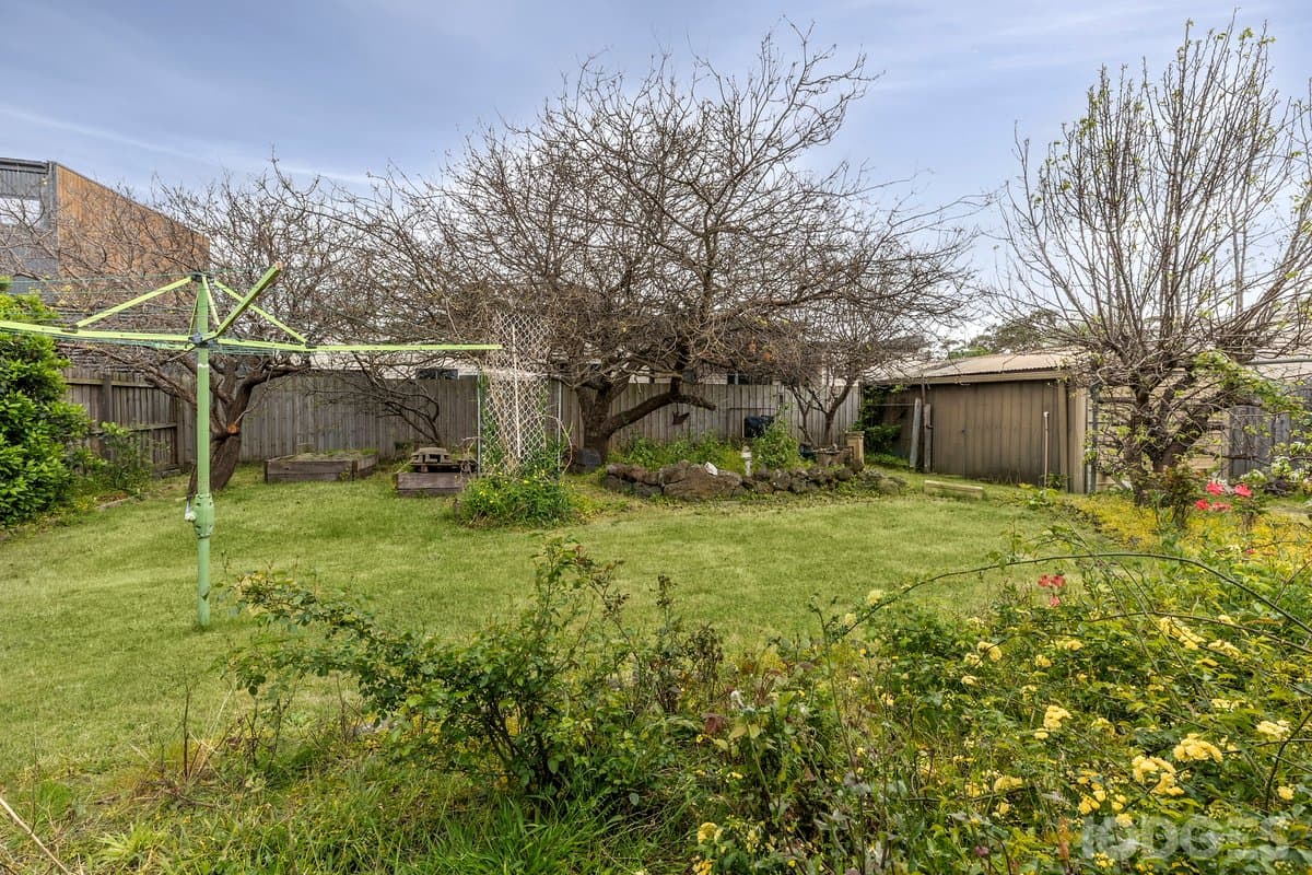 12 Callistemon Court, Ocean Grove - Thumbnail 8