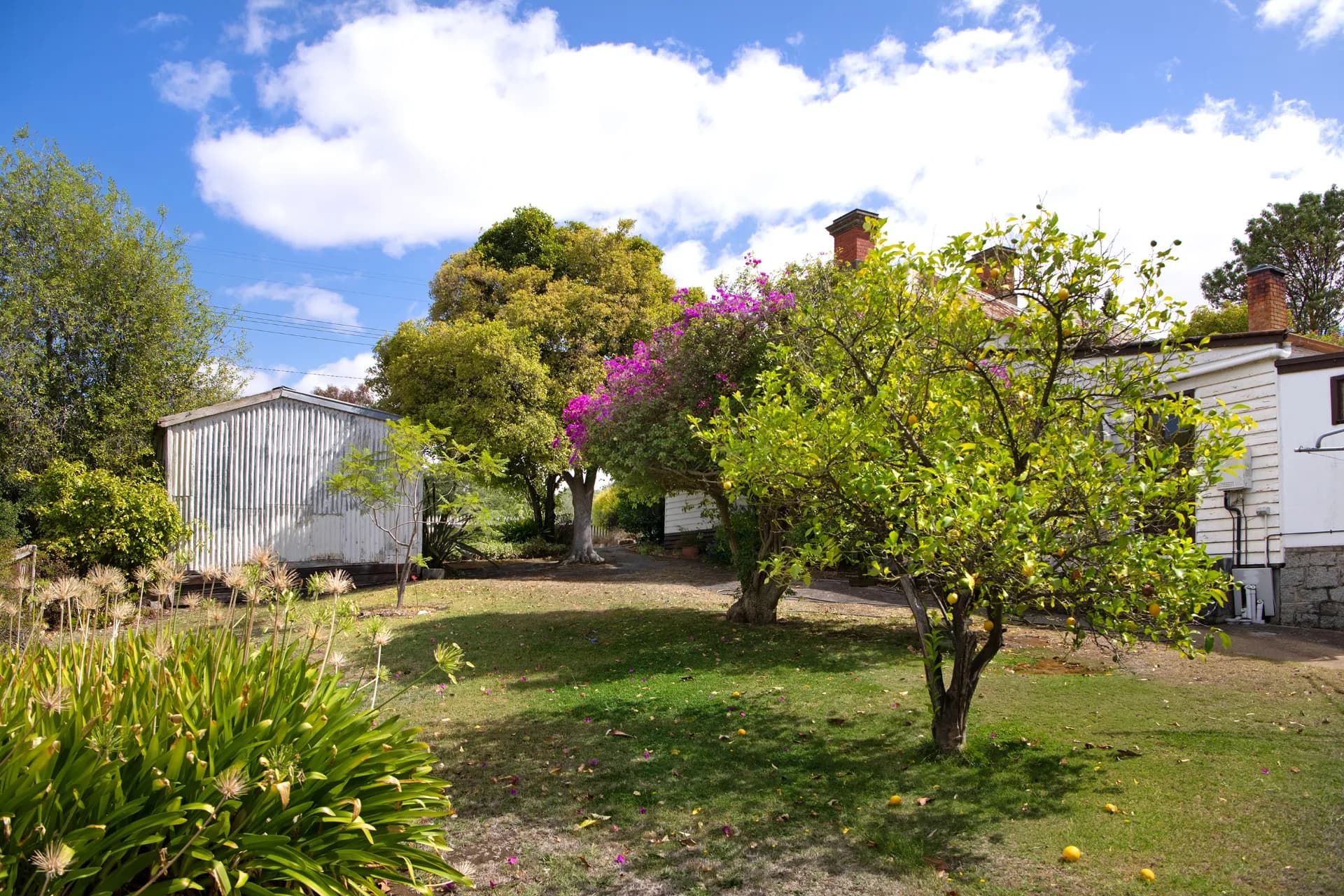 7 Phoenix Street, Maldon, VIC, Maldon - Thumbnail 5