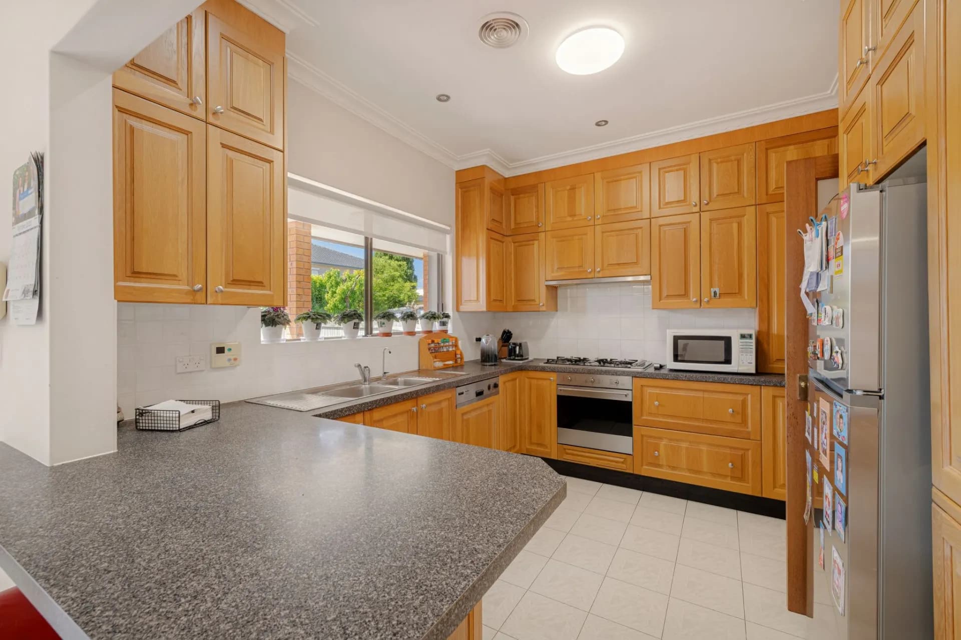 7 Highgate Street, Strathfield, NSW, Strathfield - Thumbnail 4