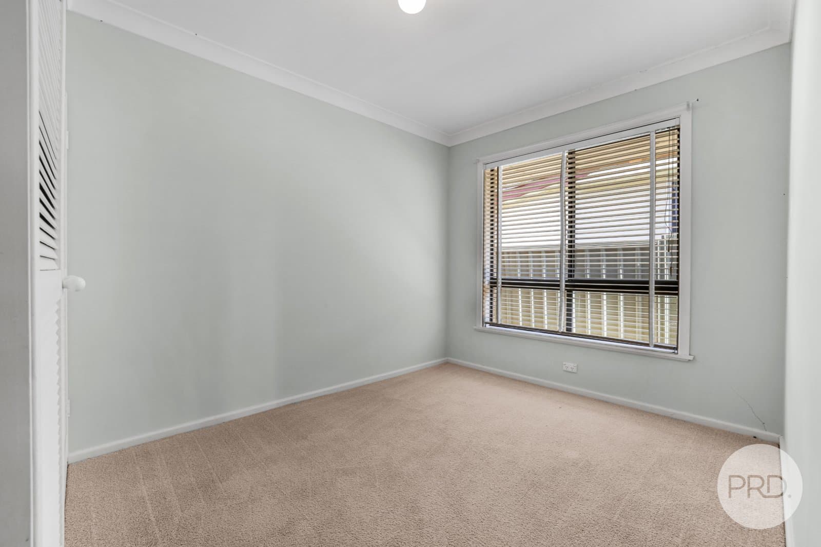 56 Nowland Avenue, QUIRINDI NSW 2343, Quirindi - Thumbnail 7