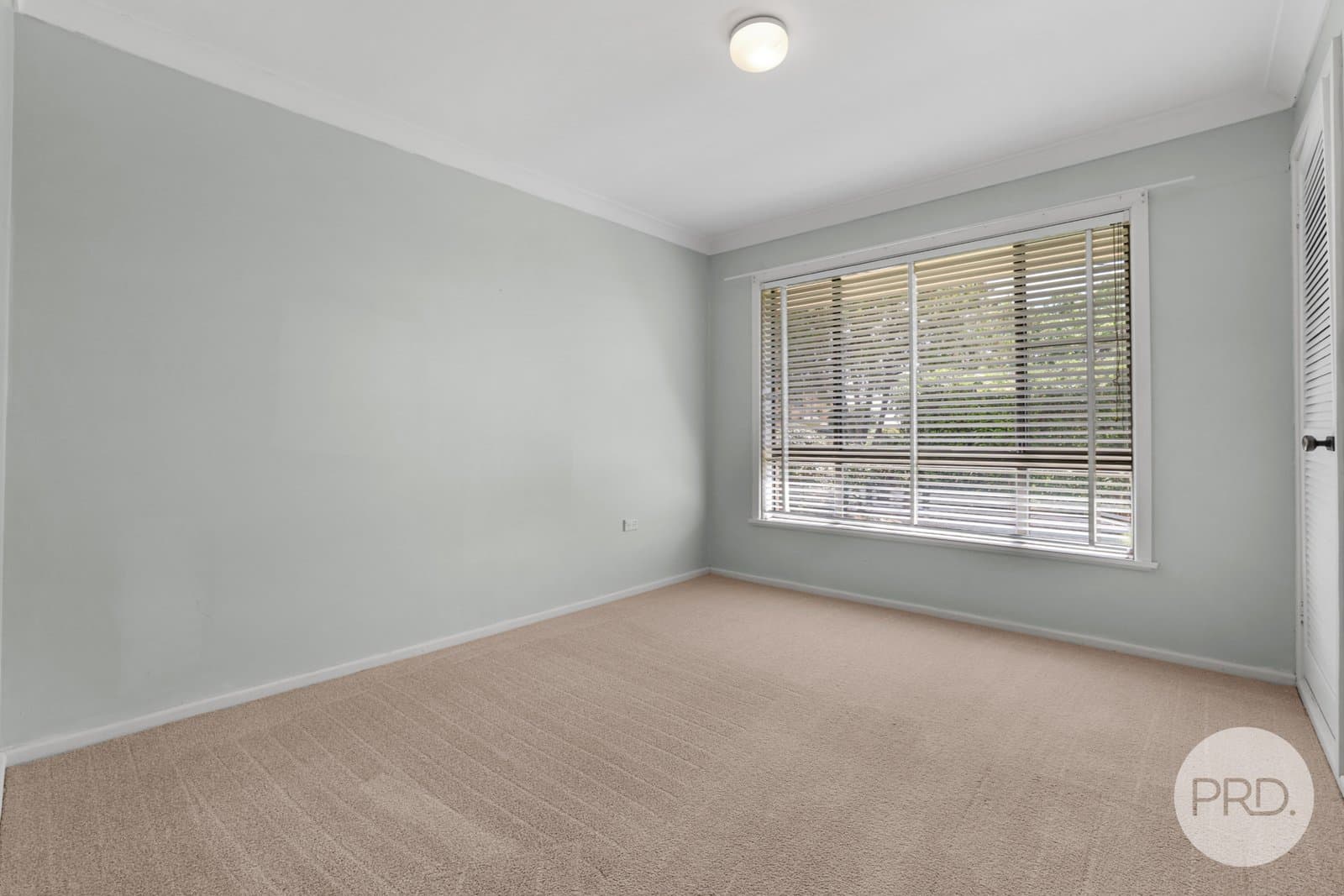 56 Nowland Avenue, QUIRINDI NSW 2343, Quirindi - Thumbnail 8