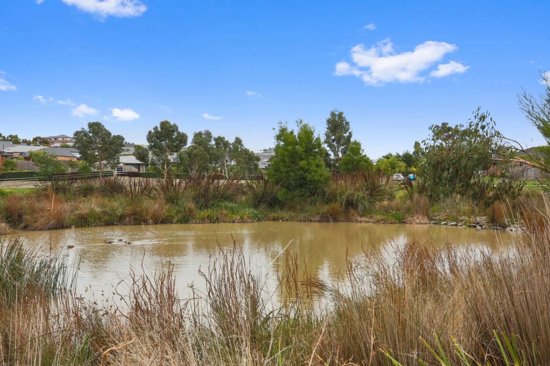 72 Jansz Crescent, Griffith, ACT, Griffith - Thumbnail 7