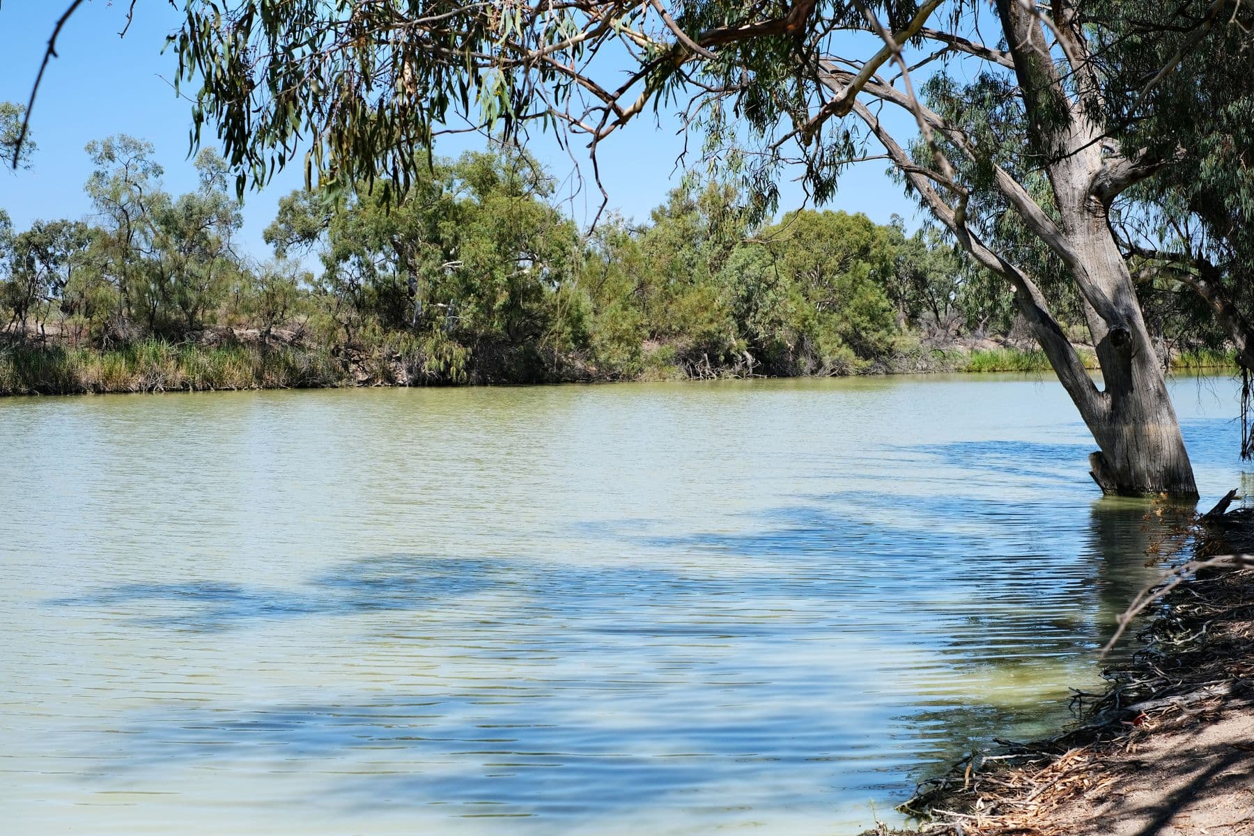 Lot 19 Darling River Estate, Pomona Road, Wentworth NSW 2648, Pomona Road - Image 1