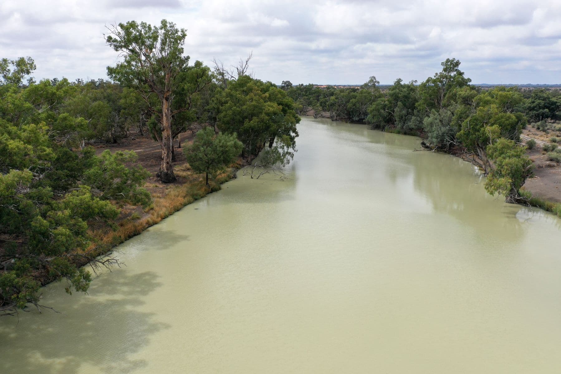 Lot 19 Darling River Estate, Pomona Road, Wentworth NSW 2648, Pomona Road - Thumbnail 3