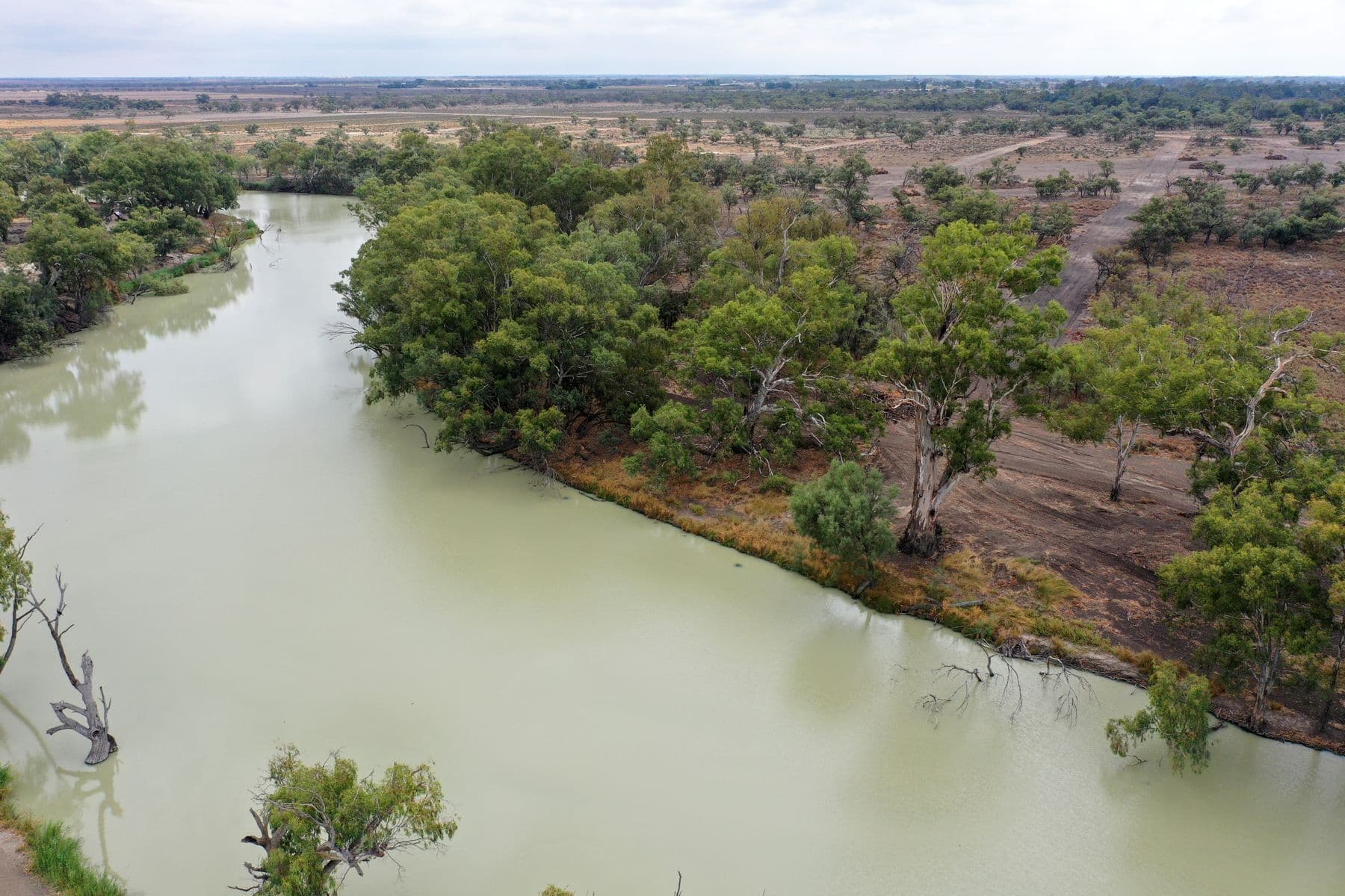 Lot 19 Darling River Estate, Pomona Road, Wentworth NSW 2648, Pomona Road - Thumbnail 5