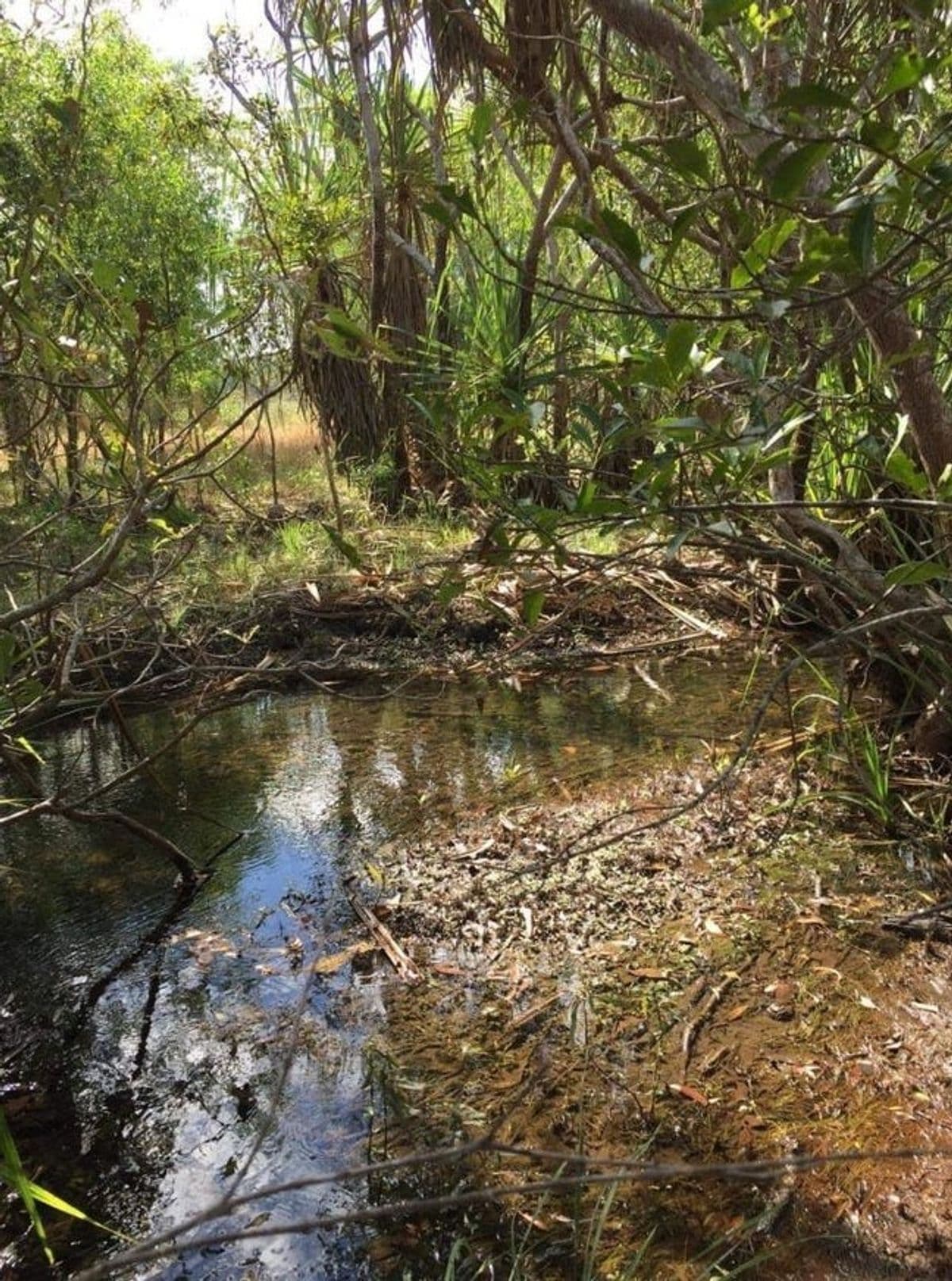460 PEACOCK ROAD, Darwin River NT 0841, Darwin River - Image 1