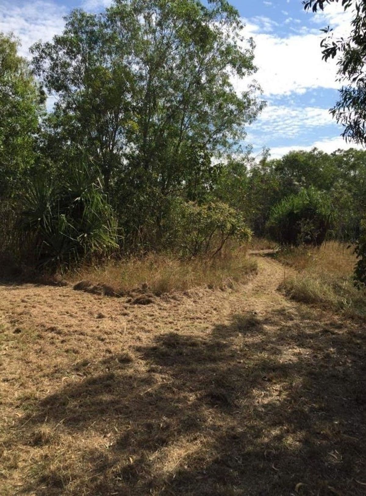 460 PEACOCK ROAD, Darwin River NT 0841, Darwin River - Thumbnail 2