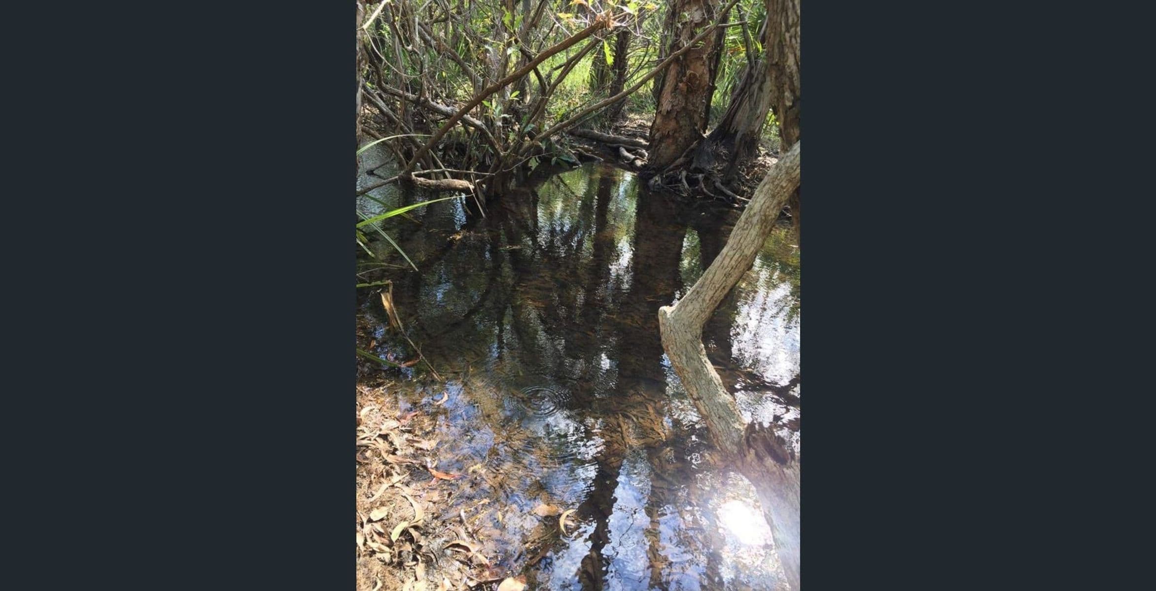 460 PEACOCK ROAD, Darwin River NT 0841, Darwin River - Thumbnail 8