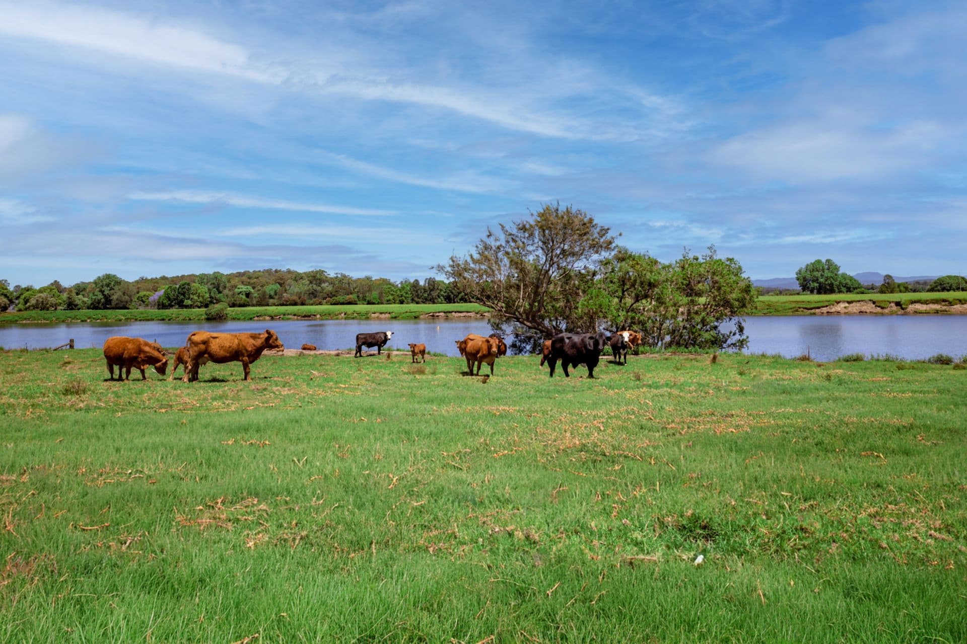 , West Kempsey - Thumbnail 4
