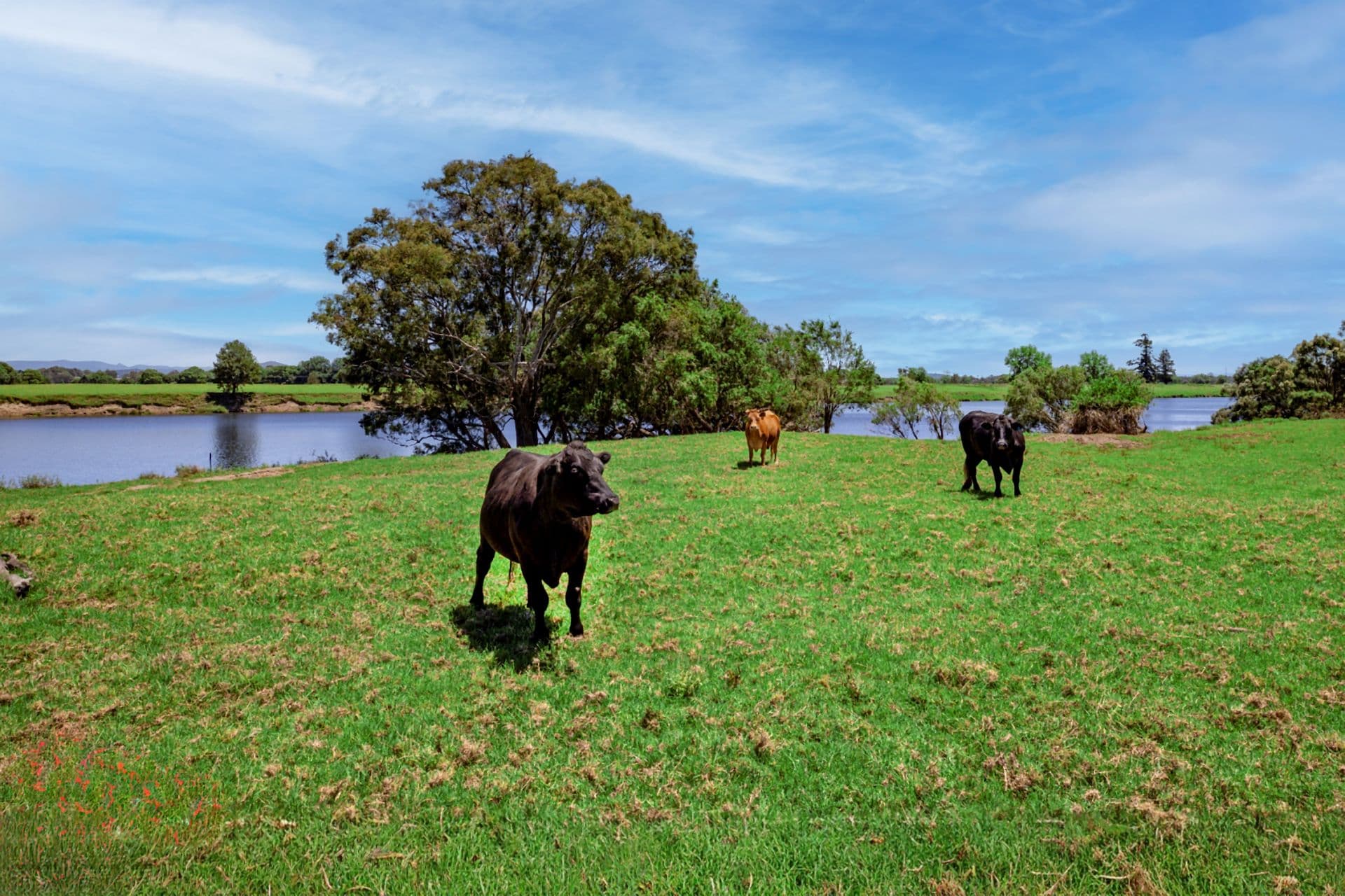 , West Kempsey - Thumbnail 5