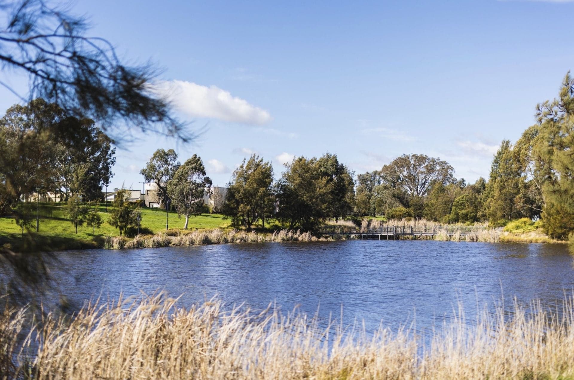 21 Bruce Dittmar Street, Forde - Thumbnail 7