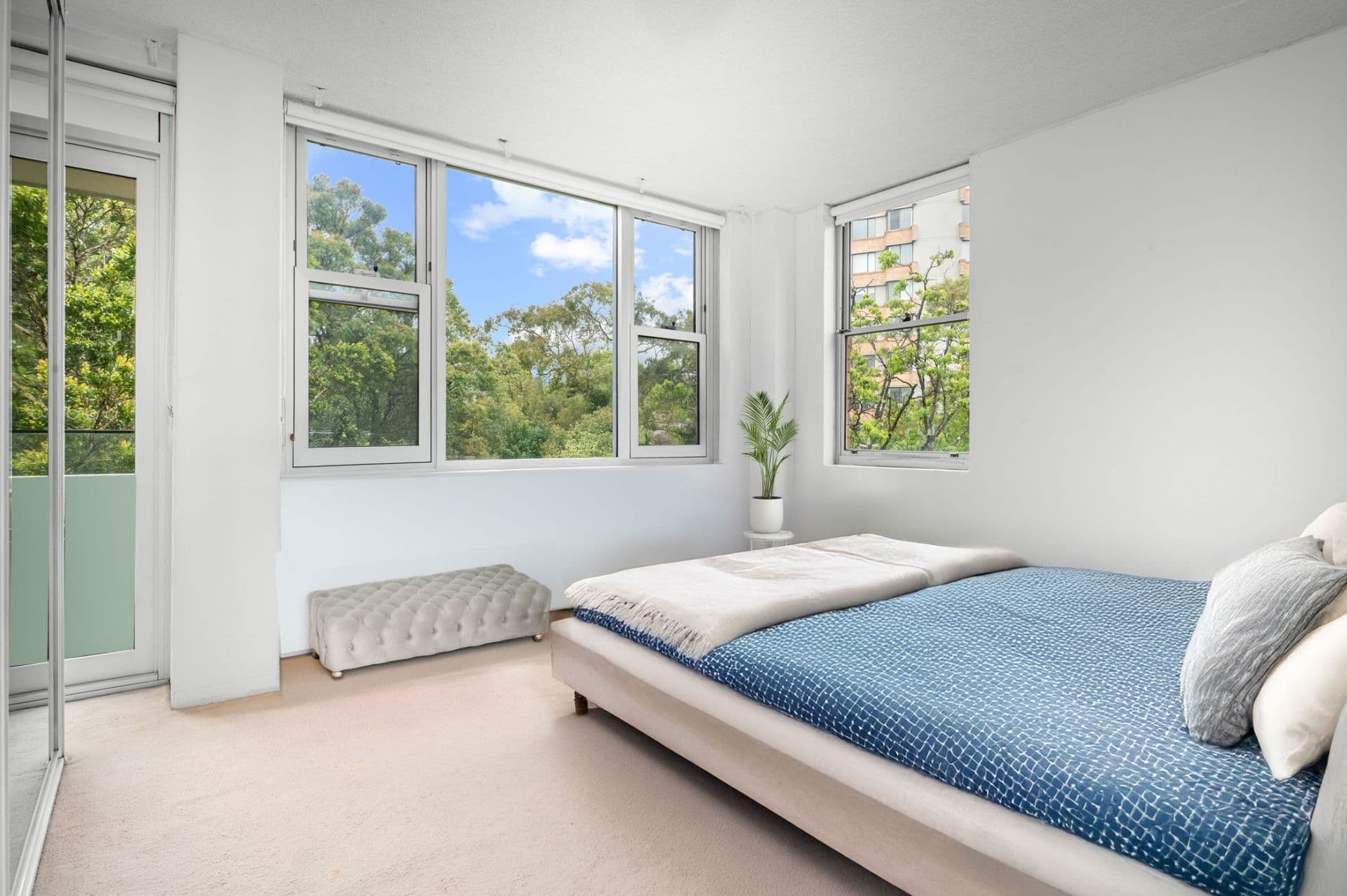 243 Ernest Street, Cammeray - Thumbnail 5