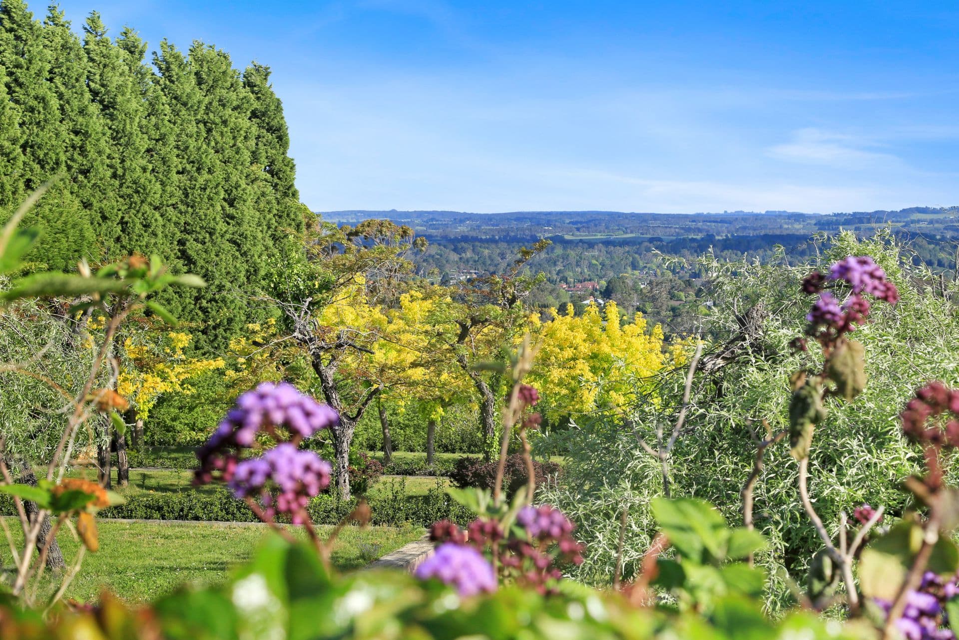 34 Boronia Street, Bowral, Bowral - Thumbnail 5