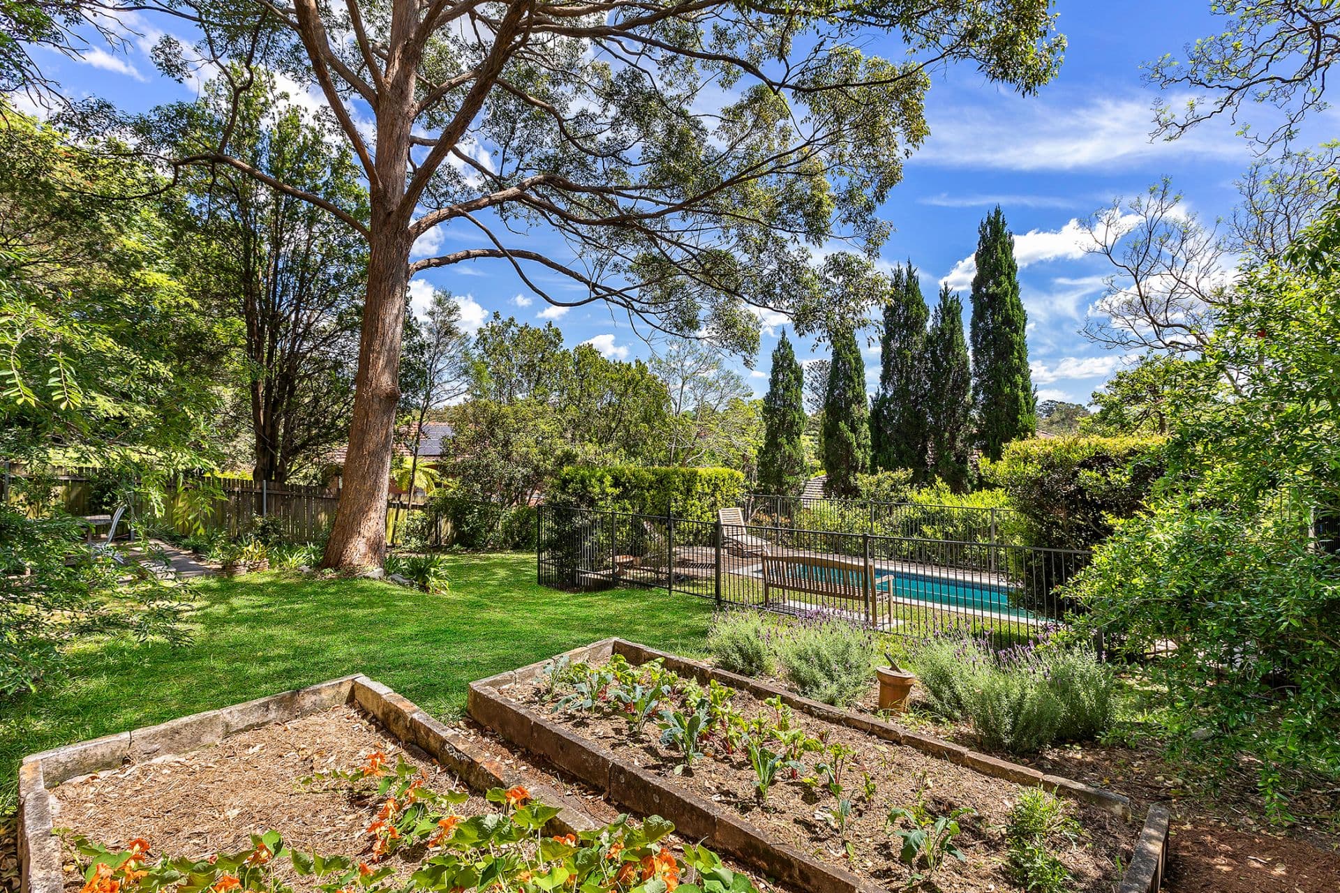 75 Lord Street, Roseville, Roseville - Image 1