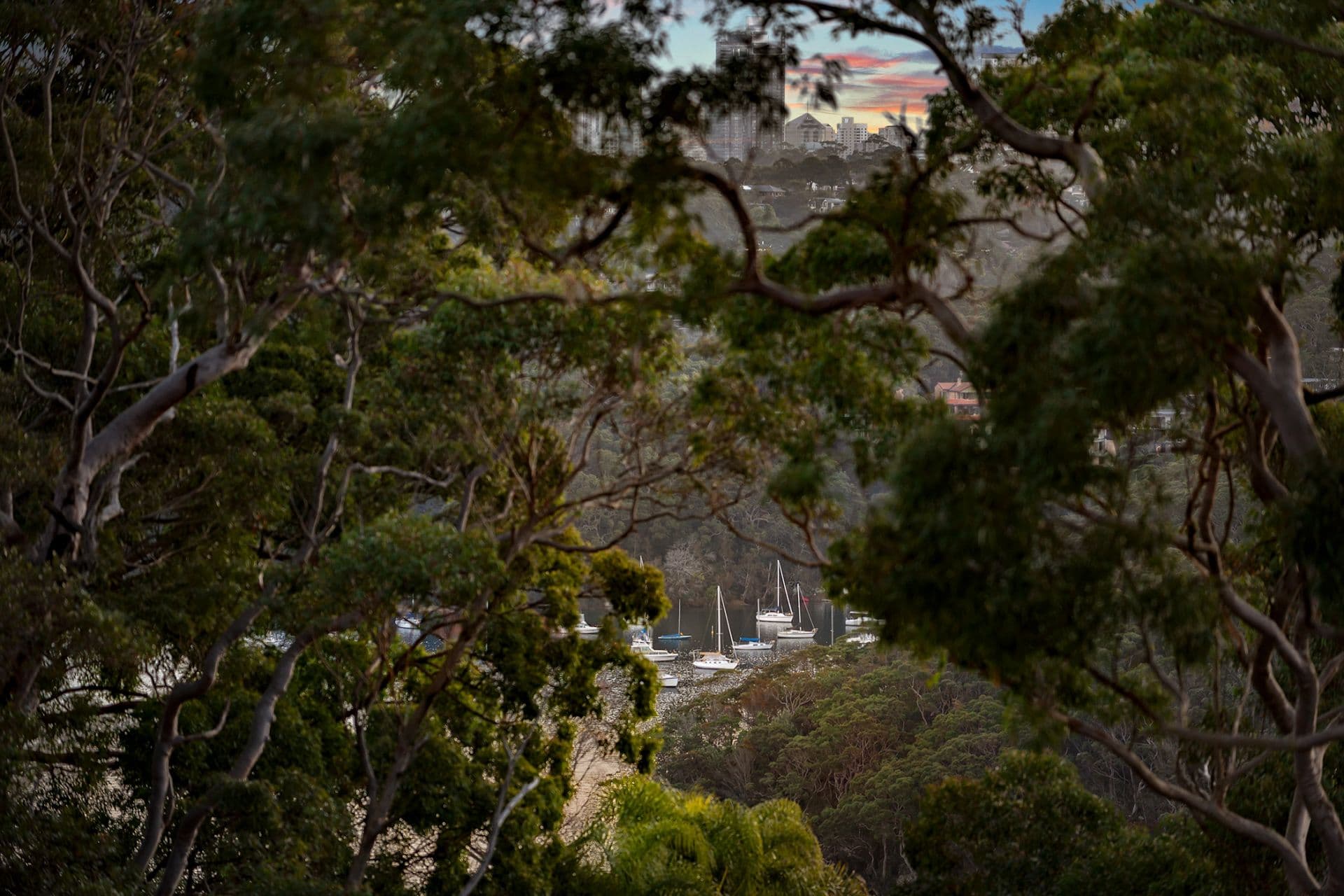 14 Boronia Lane, Seaforth, Seaforth - Thumbnail 2