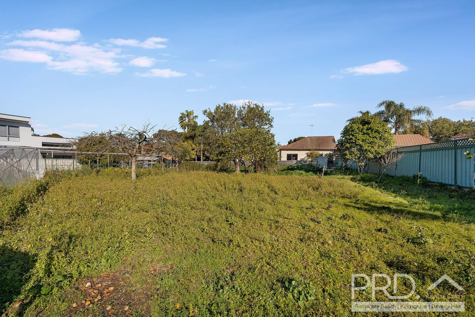 74 William Street, EARLWOOD NSW 2206, Earlwood - Thumbnail 7