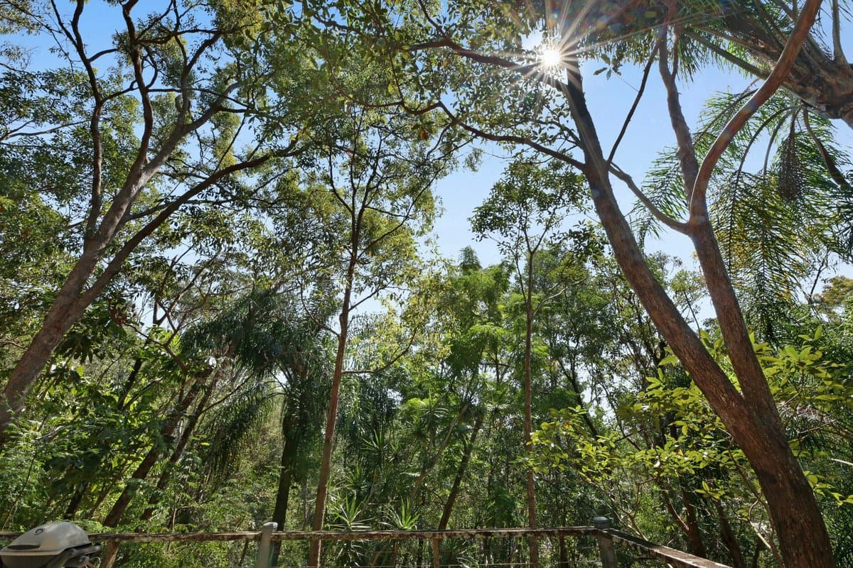 65 Ocean Parade, Burleigh Heads QLD 4220, Burleigh Heads - Thumbnail 7