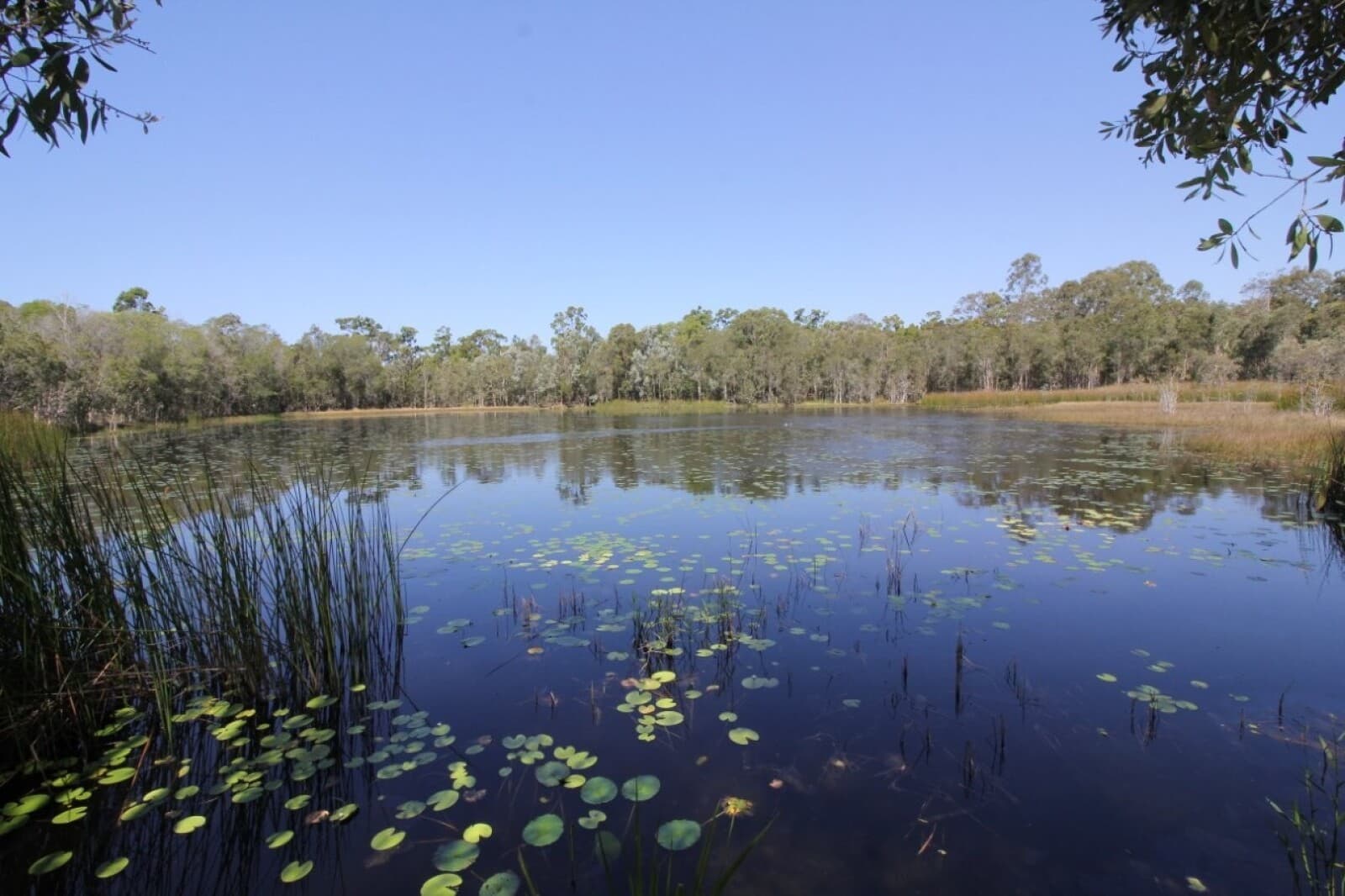 876 Pacific Drive Deepwater QLD 4674, Deepwater - Thumbnail 3