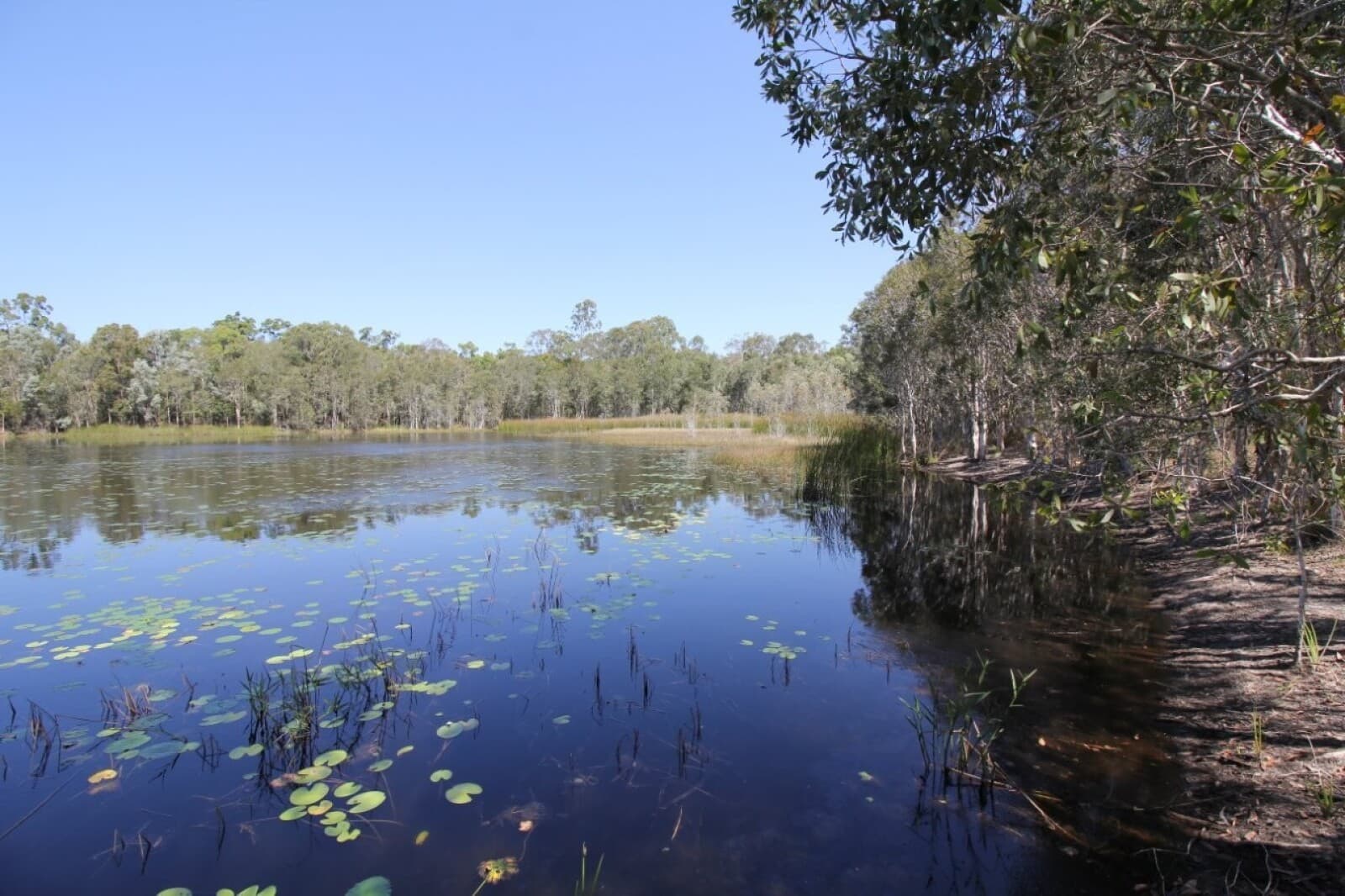 876 Pacific Drive Deepwater QLD 4674, Deepwater - Thumbnail 4