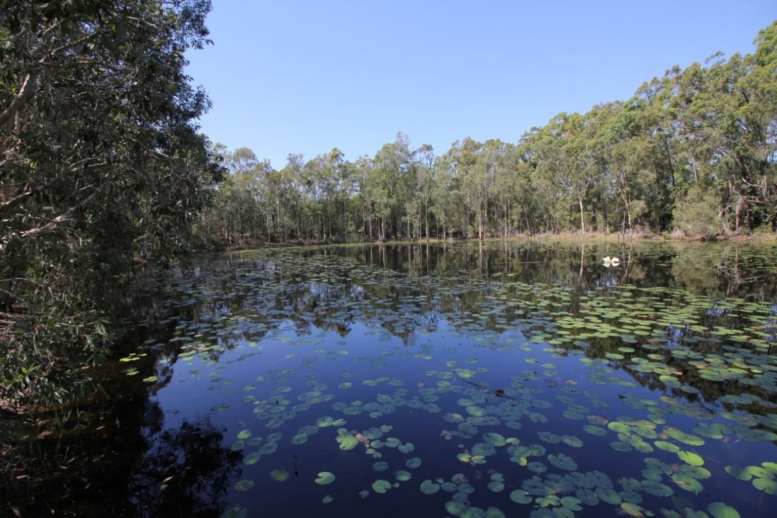 876 Pacific Drive Deepwater QLD 4674, Deepwater - Thumbnail 8