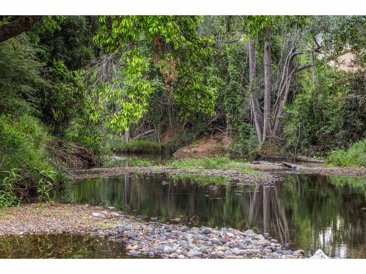 75 Grundon Road Conondale QLD 4552, Conondale - Thumbnail 7