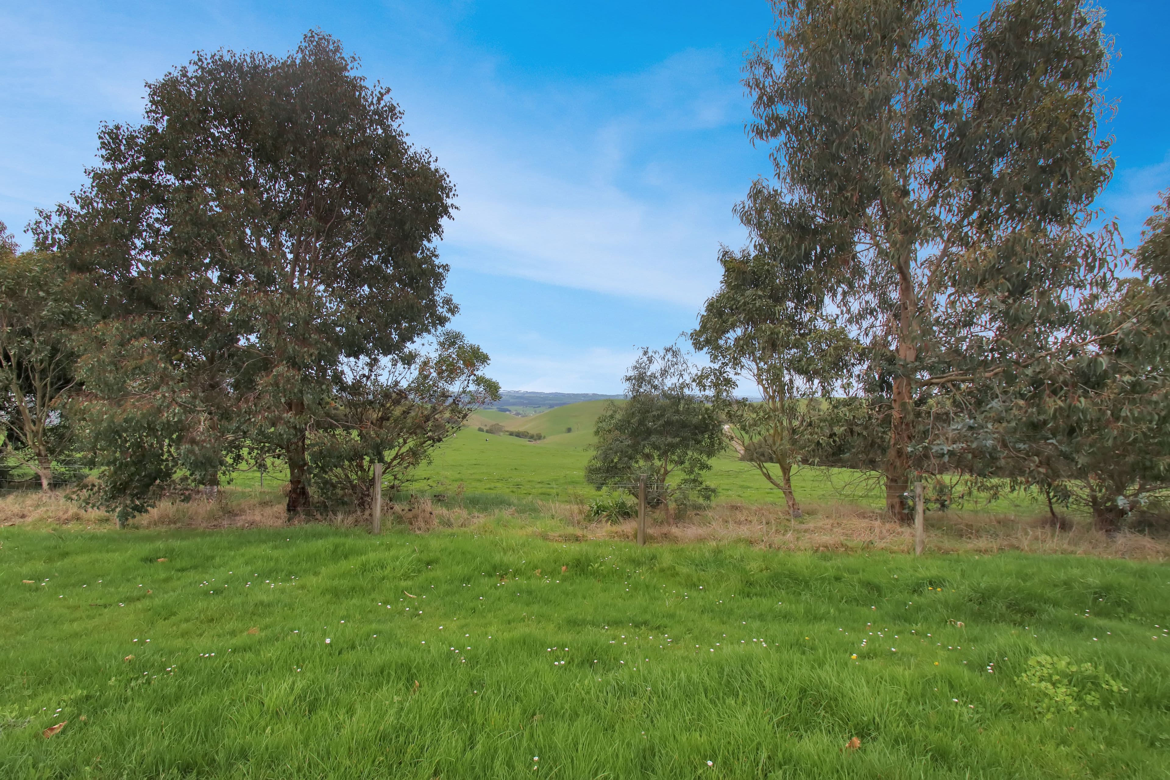 1208 Nerrena Road , Nerrena VIC 3953, Nerrena - Thumbnail 3