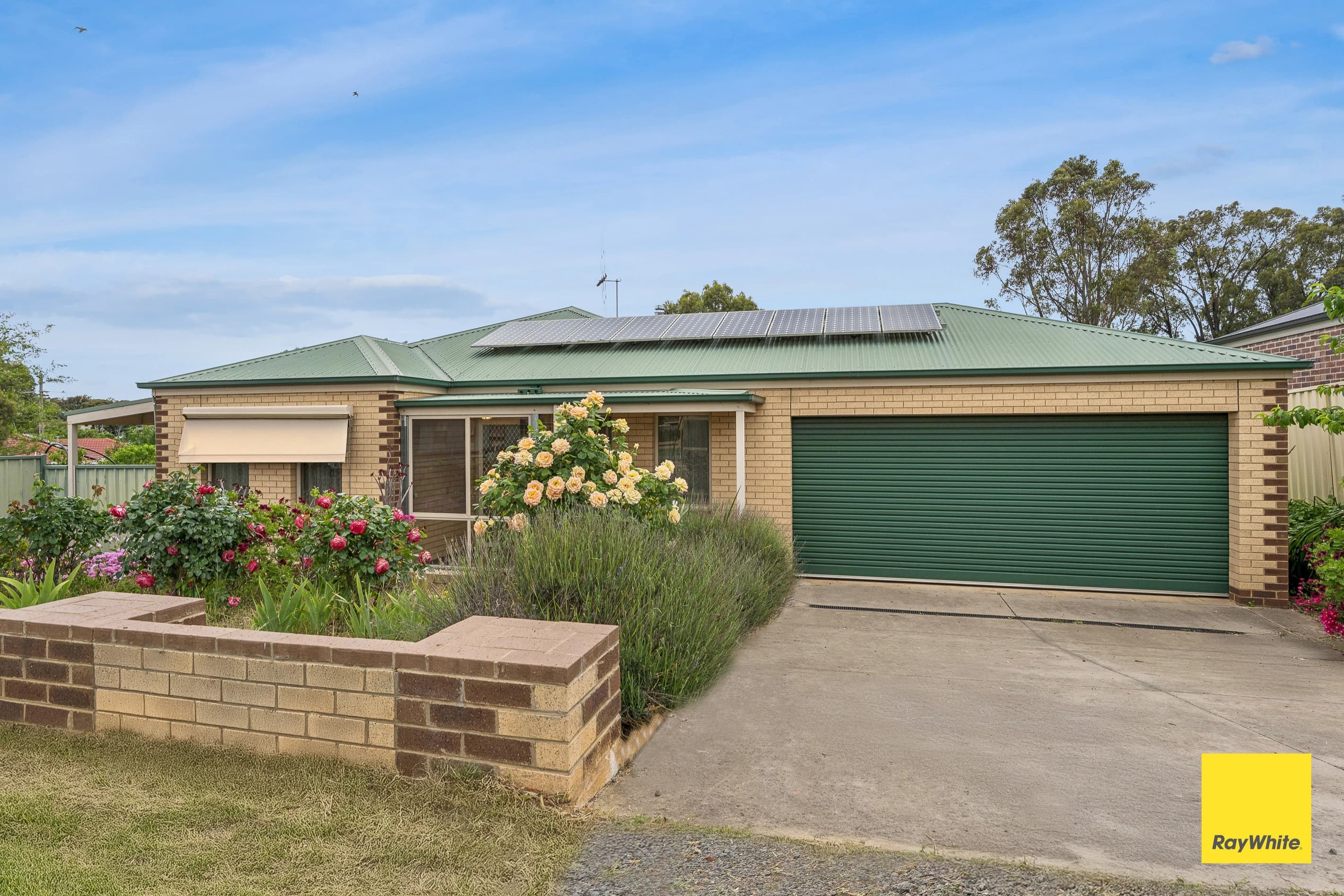 5 Albert Street , Long Gully VIC 3550, Long Gully - Thumbnail 2