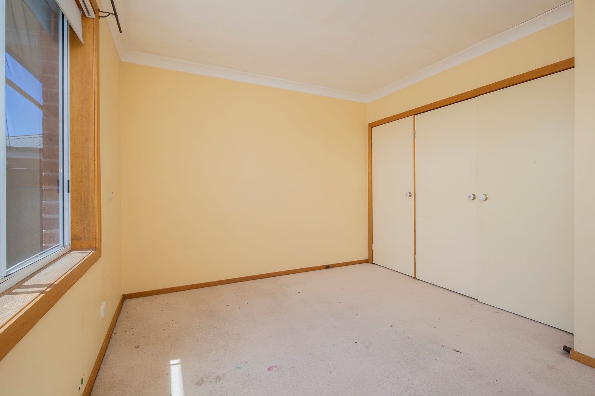 10 Buxton Street , Adamstown NSW 2289, Adamstown - Thumbnail 3