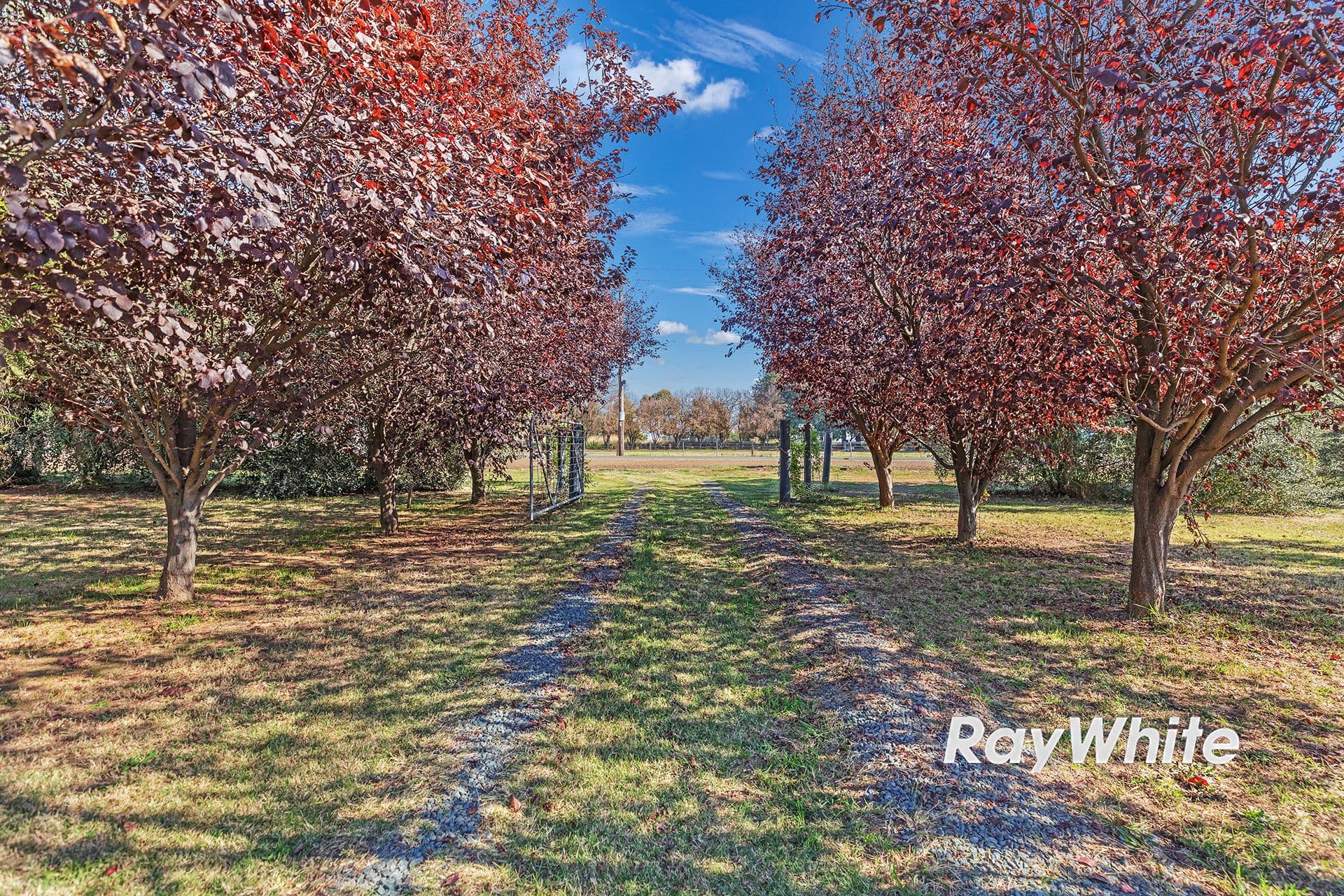 891 Bamawm Road , Bamawm VIC 3561, Bamawm - Thumbnail 2