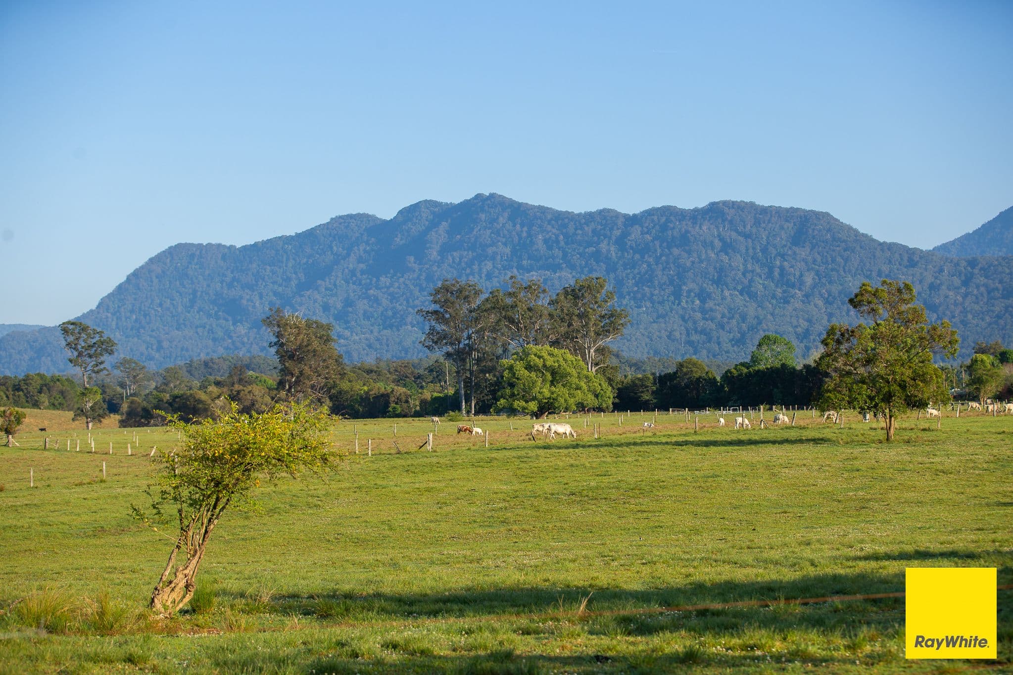 1531 Waterfall Way , Bellingen NSW 2454, Bellingen - Image 1
