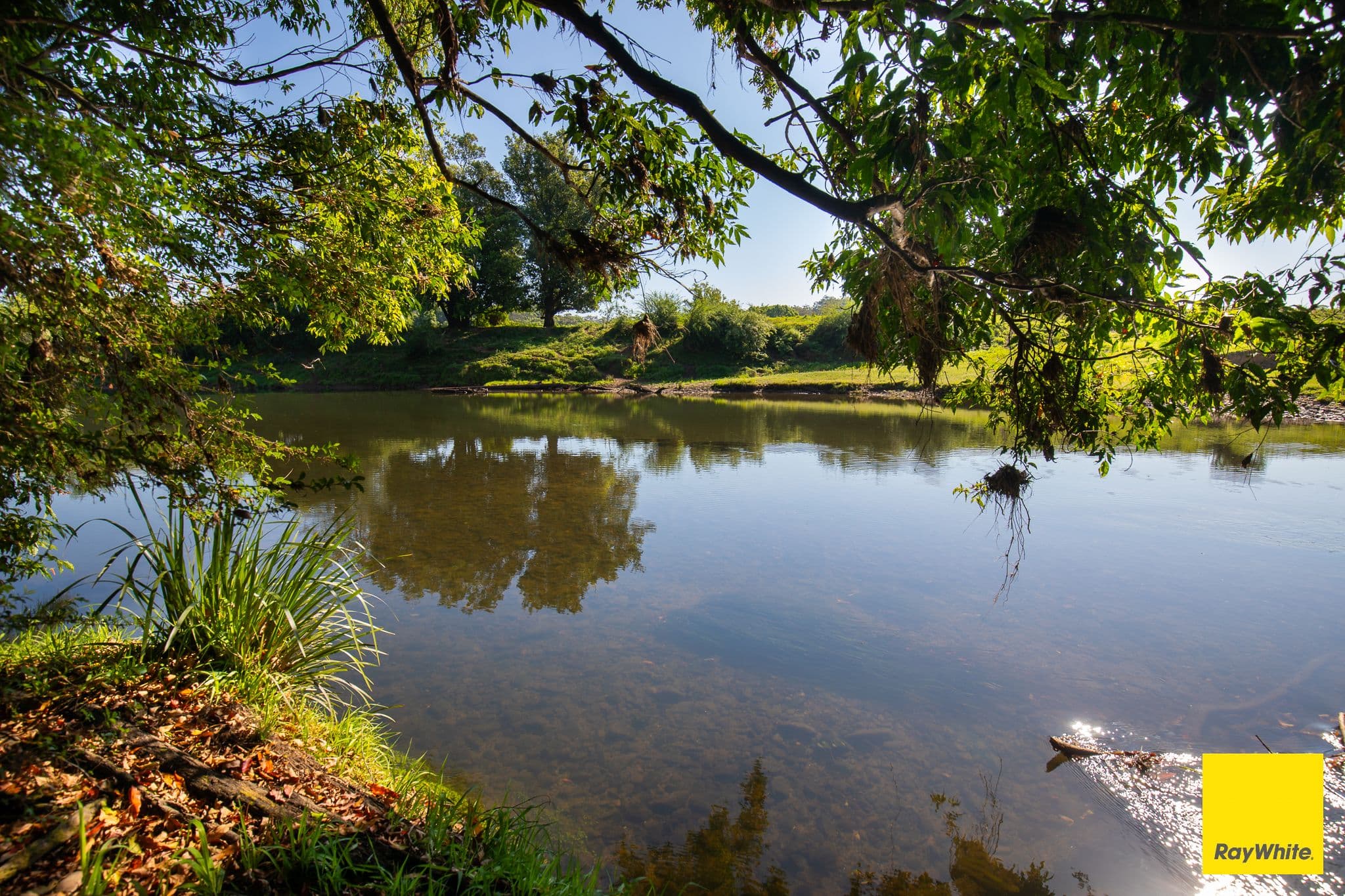 1531 Waterfall Way , Bellingen NSW 2454, Bellingen - Thumbnail 2