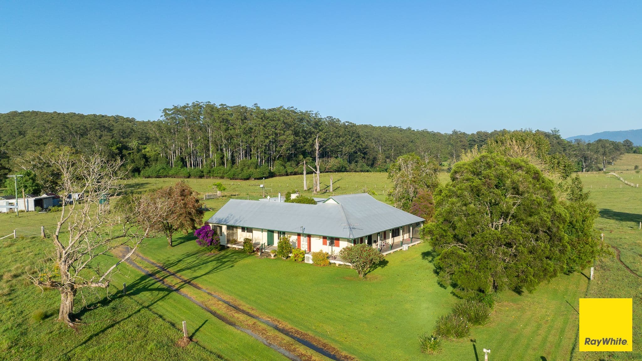 1531 Waterfall Way , Bellingen NSW 2454, Bellingen - Thumbnail 4