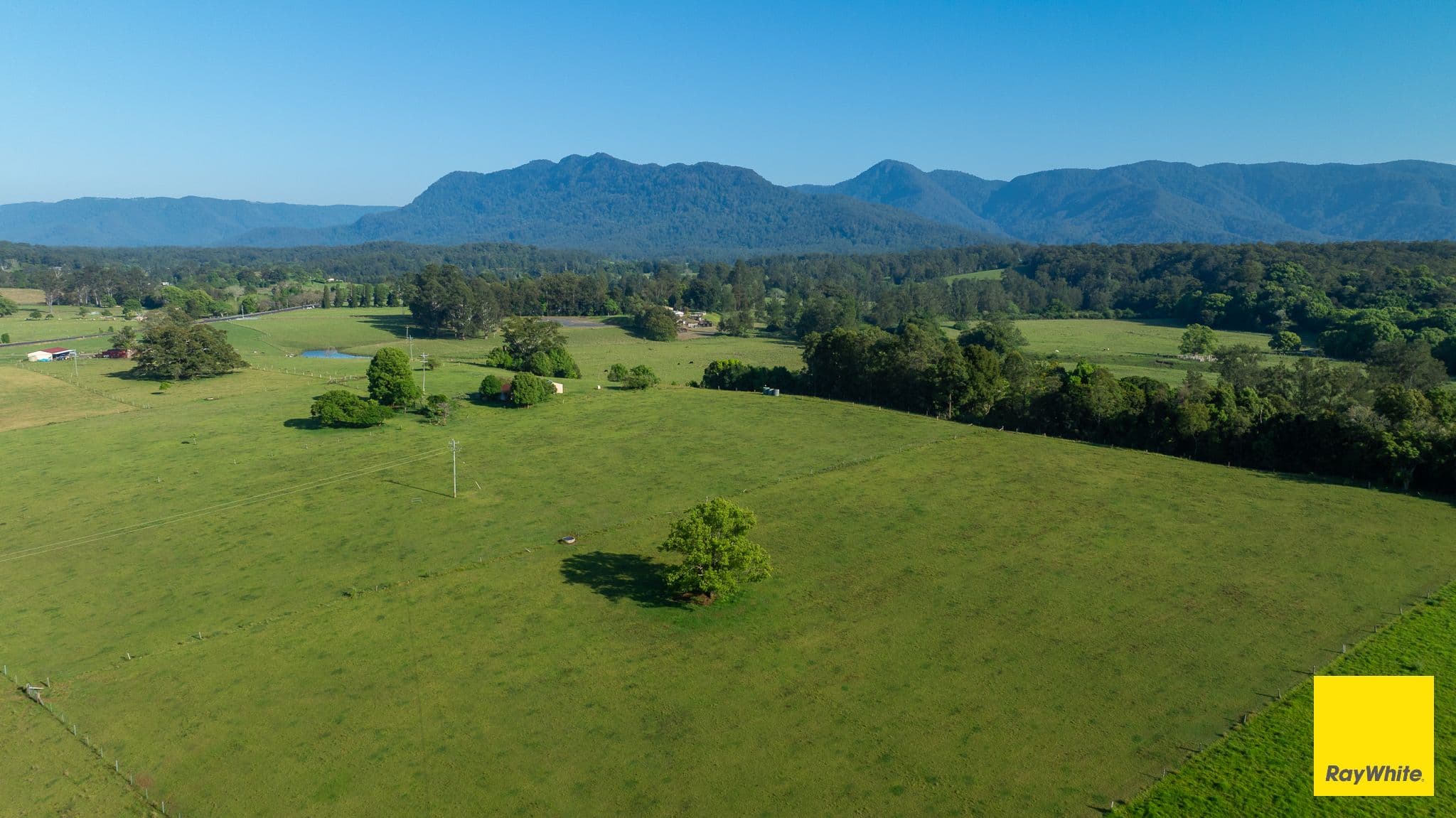 1531 Waterfall Way , Bellingen NSW 2454, Bellingen - Thumbnail 5