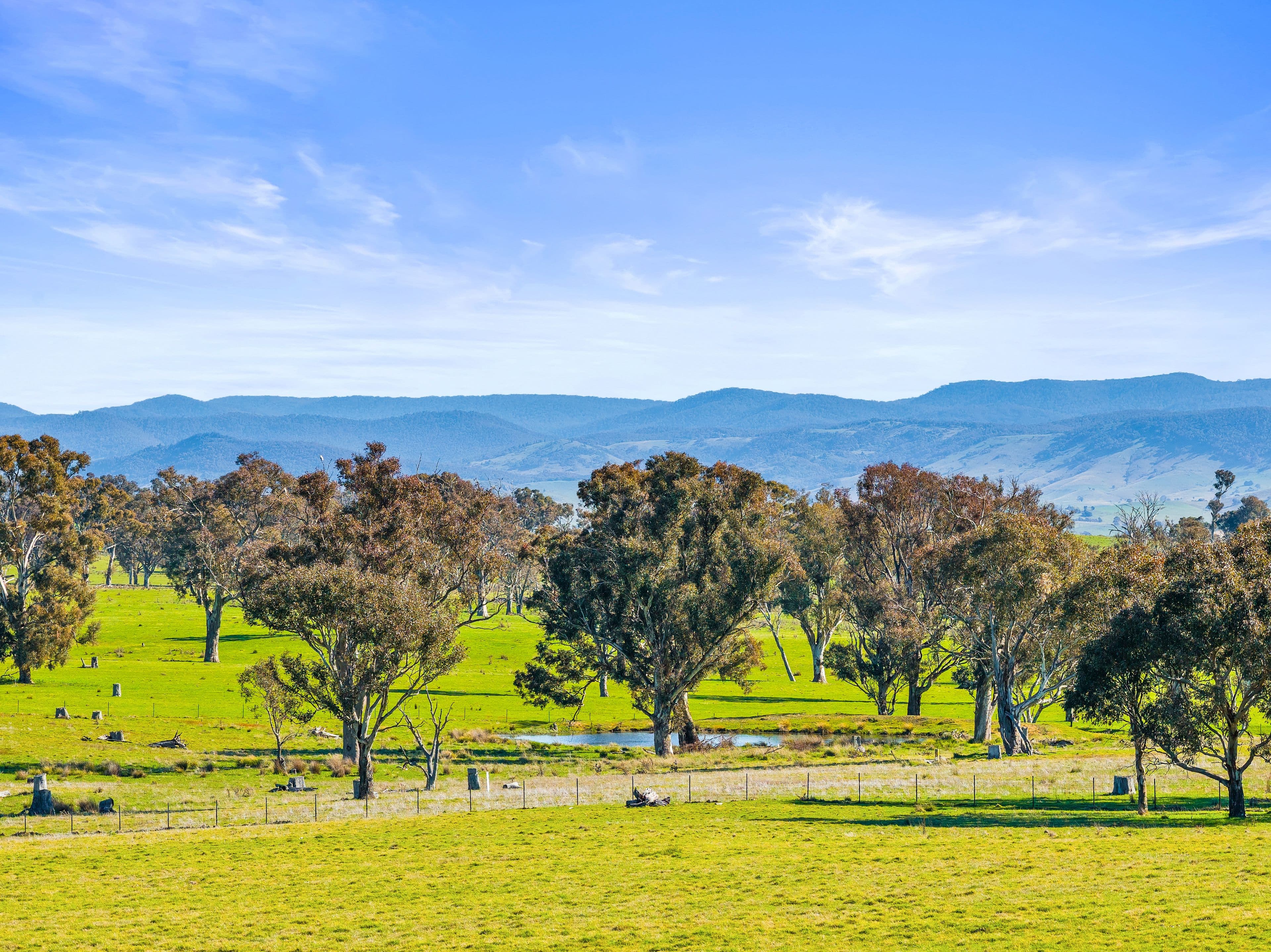 14 Belleview Drive , Murrumbateman NSW 2582, Murrumbateman - Thumbnail 3