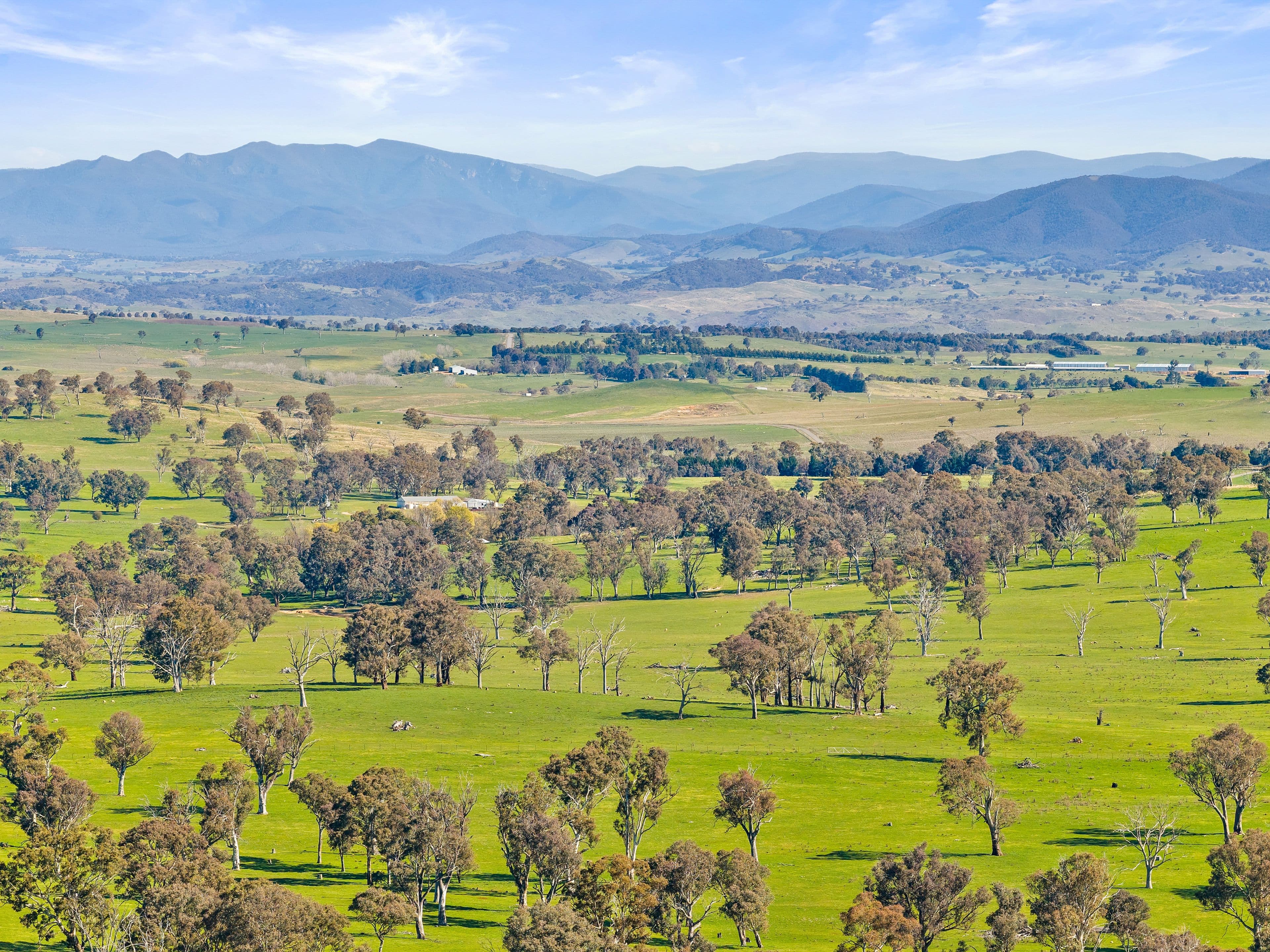 14 Belleview Drive , Murrumbateman NSW 2582, Murrumbateman - Thumbnail 4