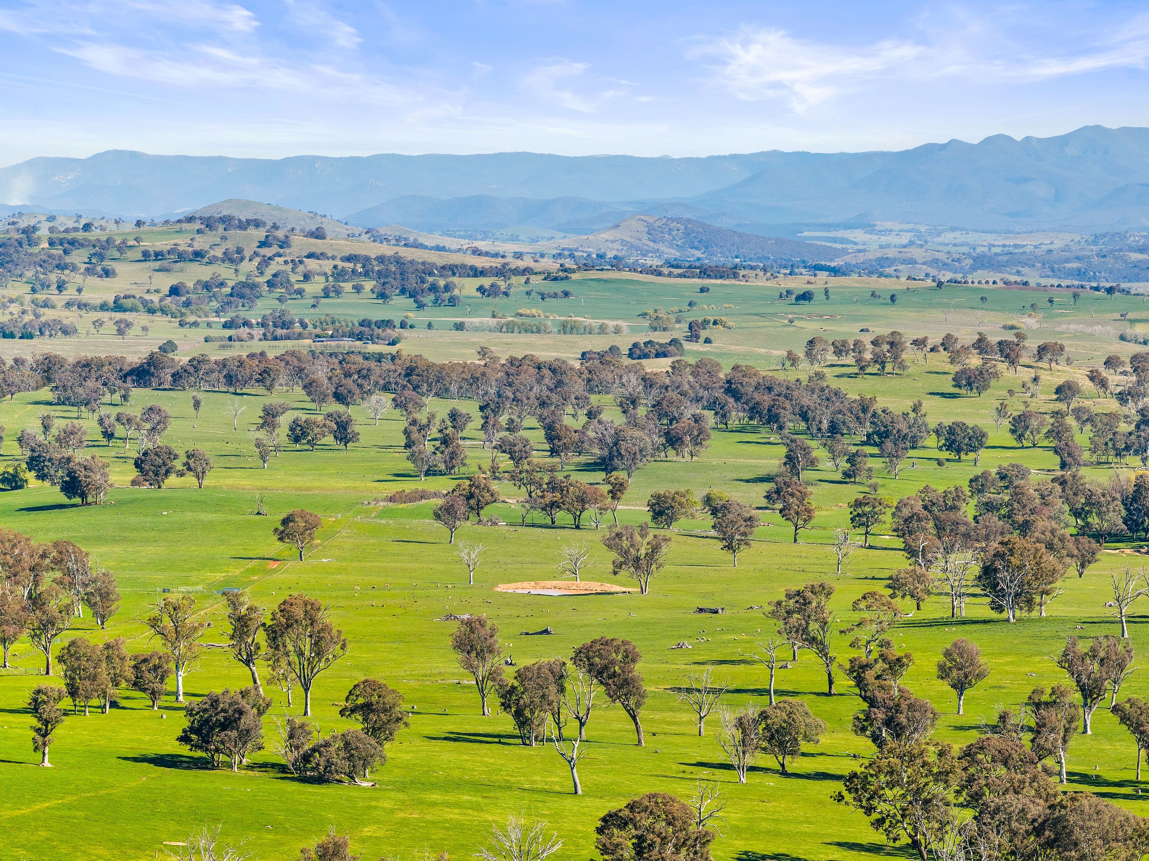 14 Belleview Drive , Murrumbateman NSW 2582, Murrumbateman - Thumbnail 5